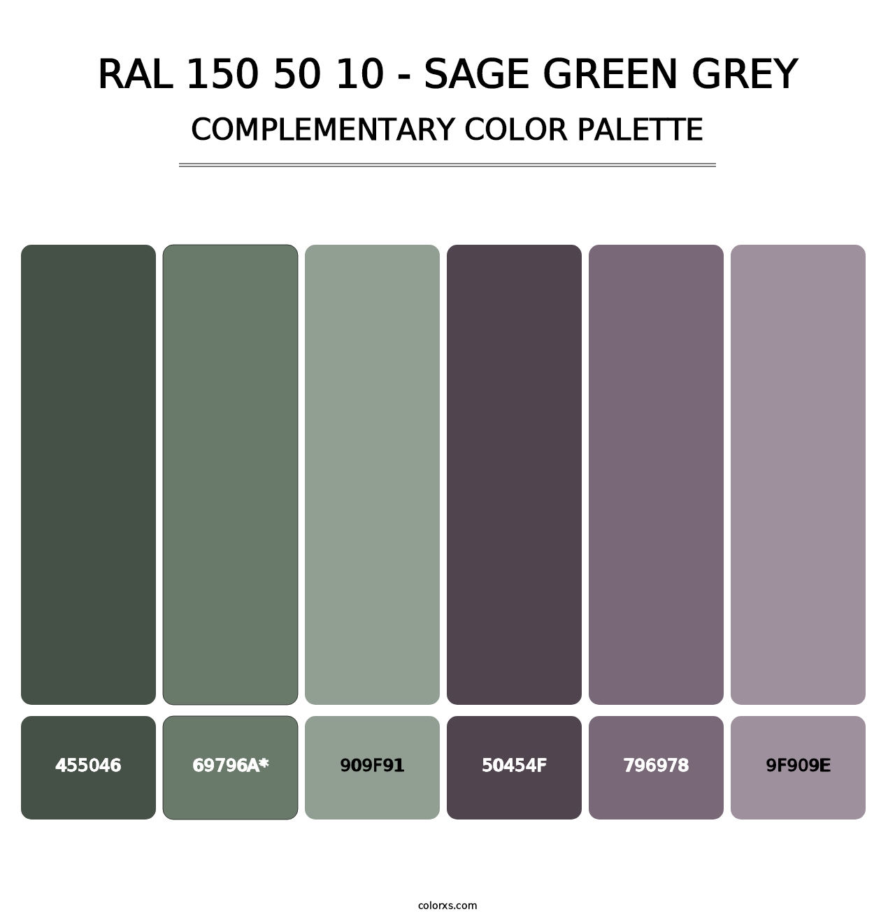 RAL 150 50 10 - Sage Green Grey - Complementary Color Palette