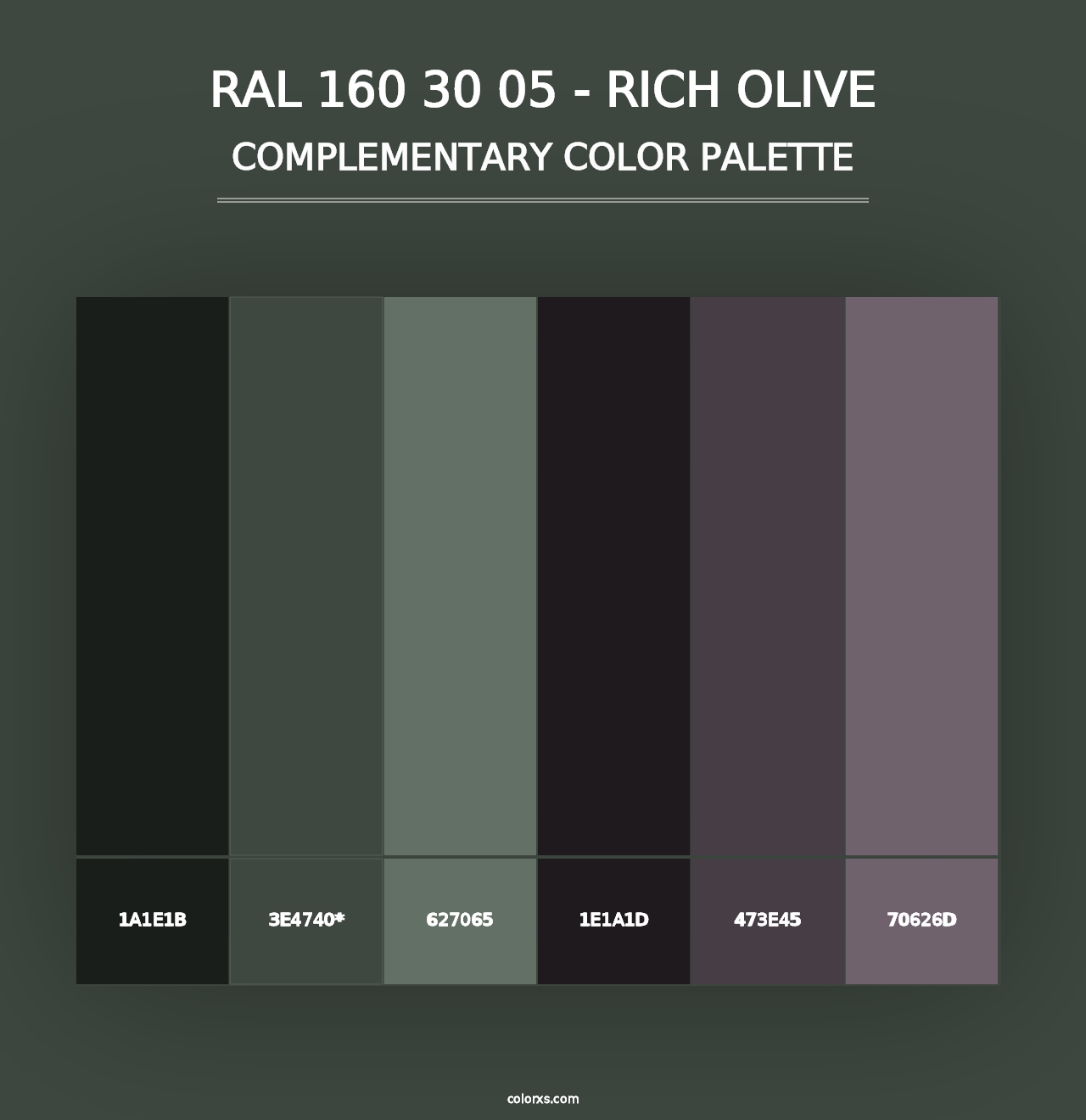 RAL 160 30 05 - Rich Olive - Complementary Color Palette