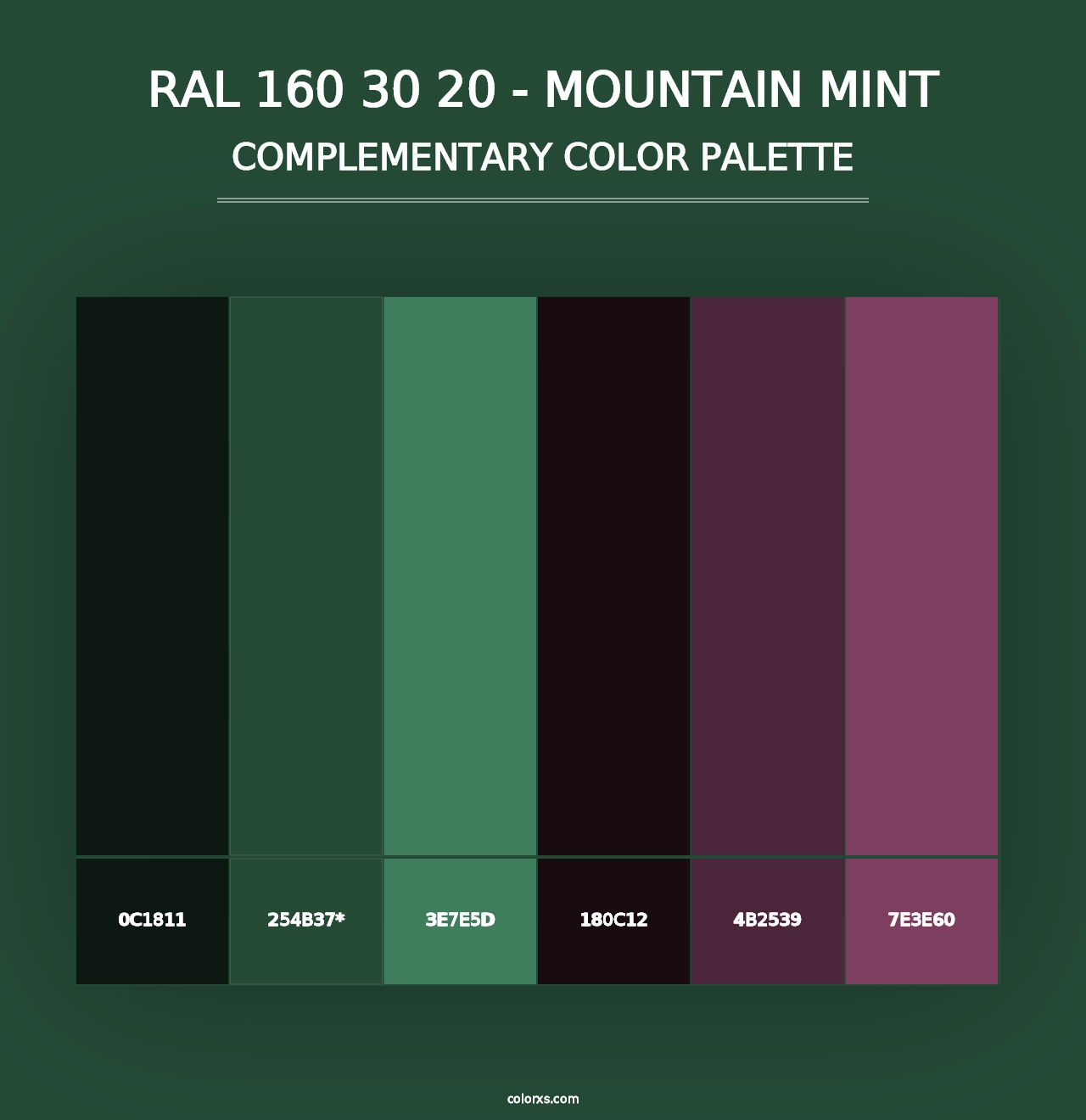 RAL 160 30 20 - Mountain Mint - Complementary Color Palette