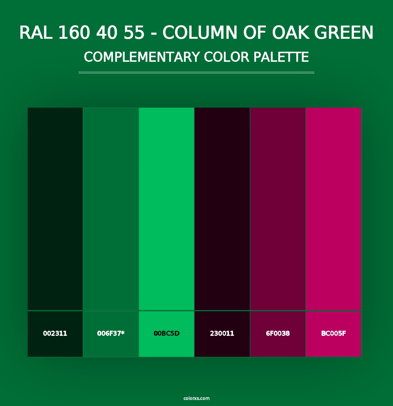 RAL 160 40 55 - Column Of Oak Green - Complementary Color Palette