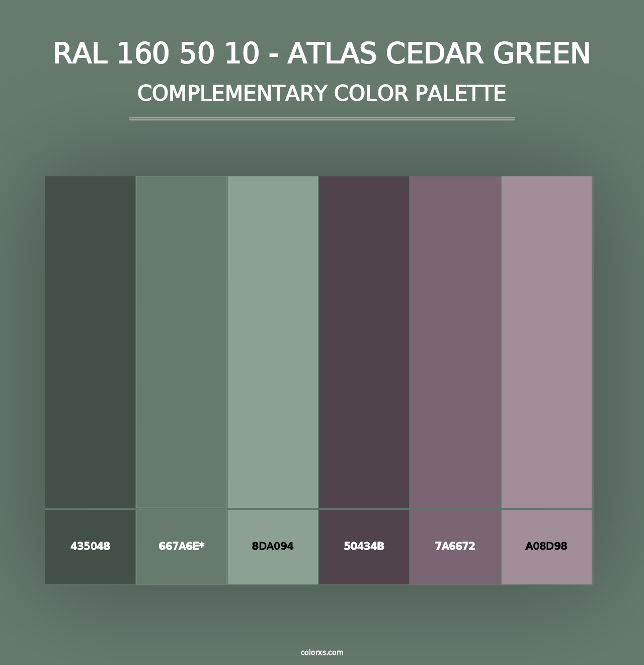 RAL 160 50 10 - Atlas Cedar Green - Complementary Color Palette