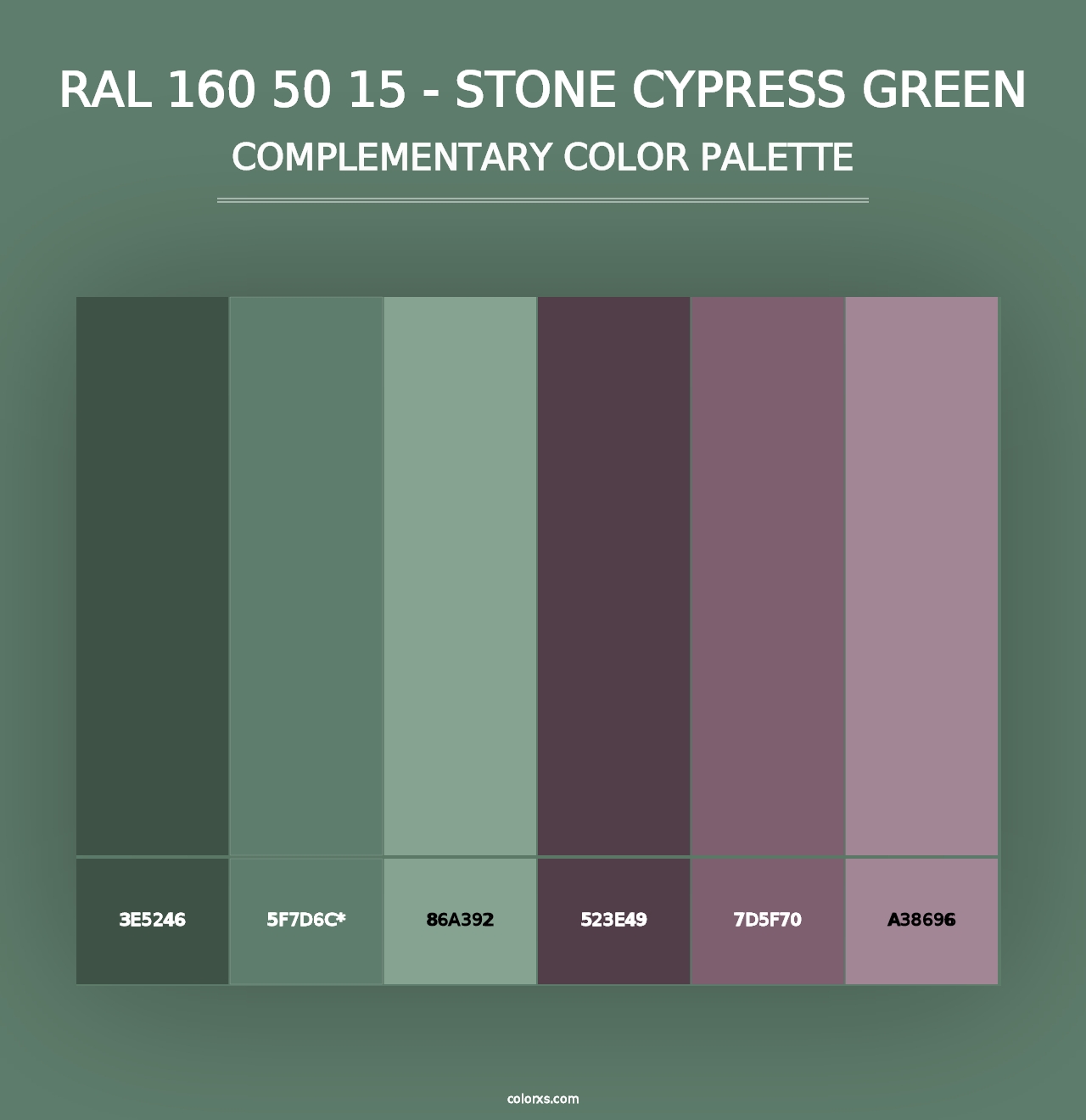 RAL 160 50 15 - Stone Cypress Green - Complementary Color Palette