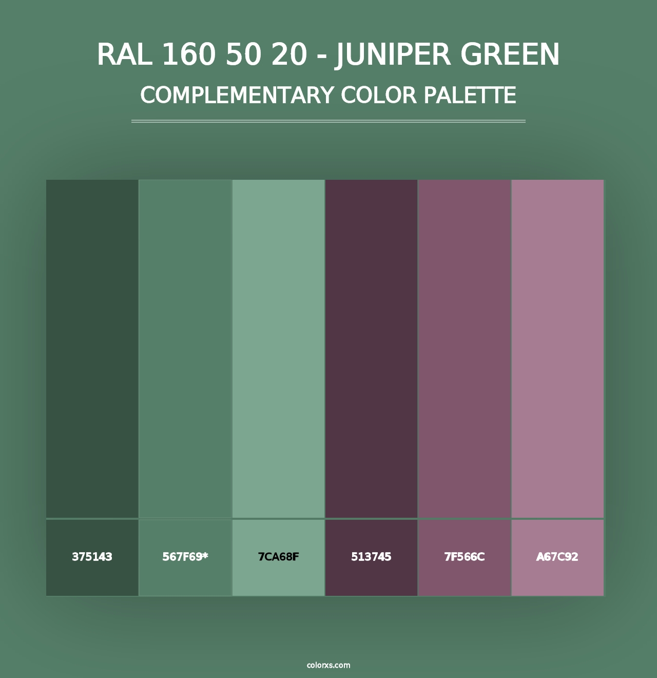 RAL 160 50 20 - Juniper Green - Complementary Color Palette