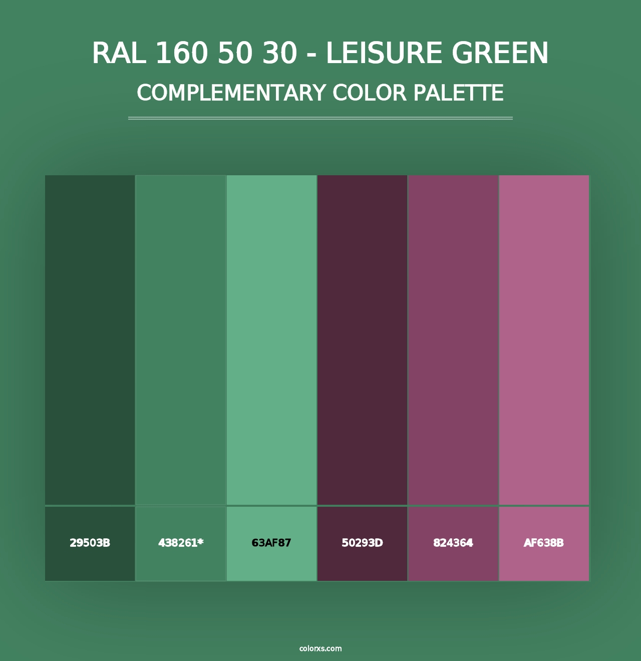 RAL 160 50 30 - Leisure Green - Complementary Color Palette