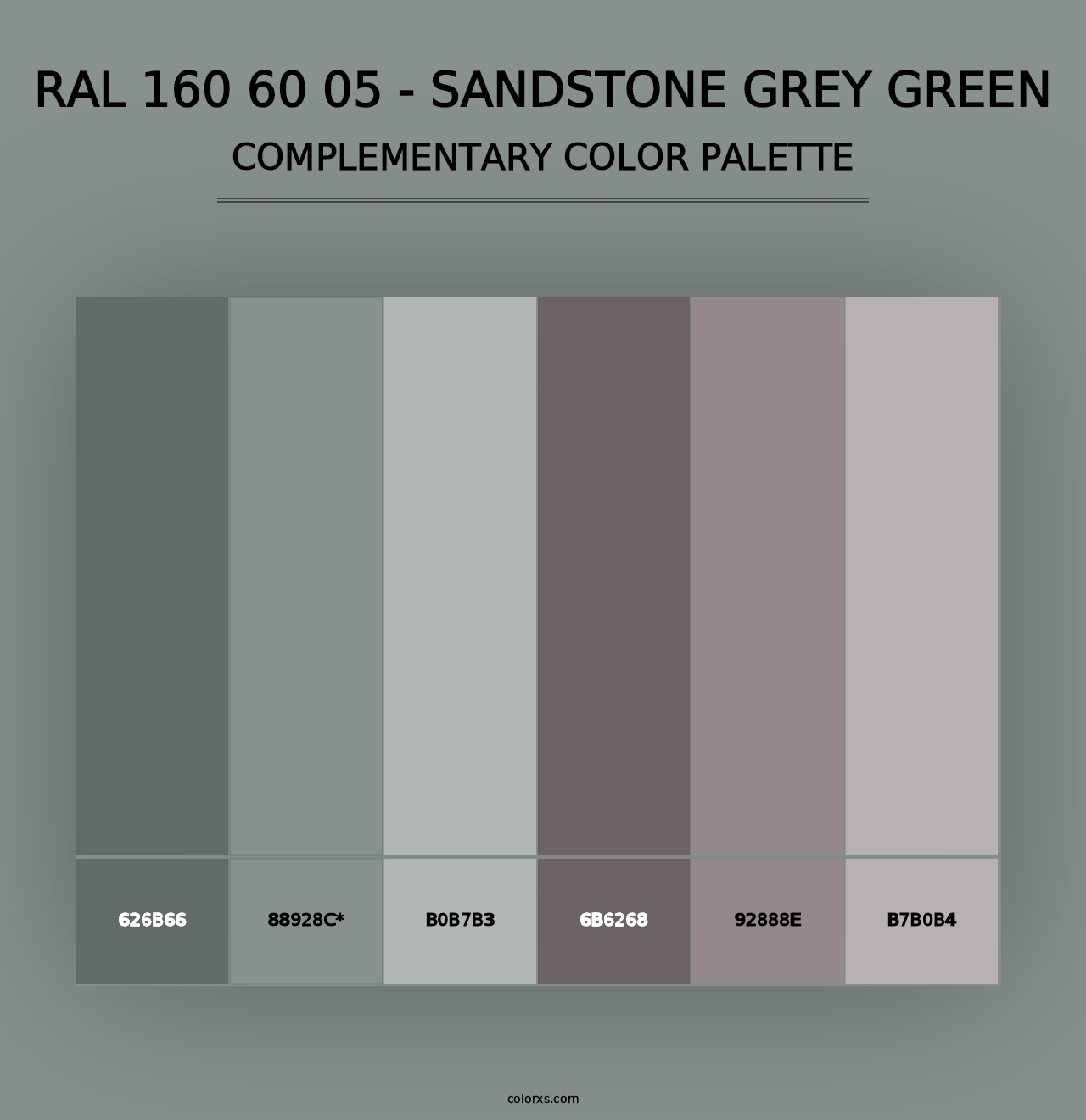 RAL 160 60 05 - Sandstone Grey Green - Complementary Color Palette