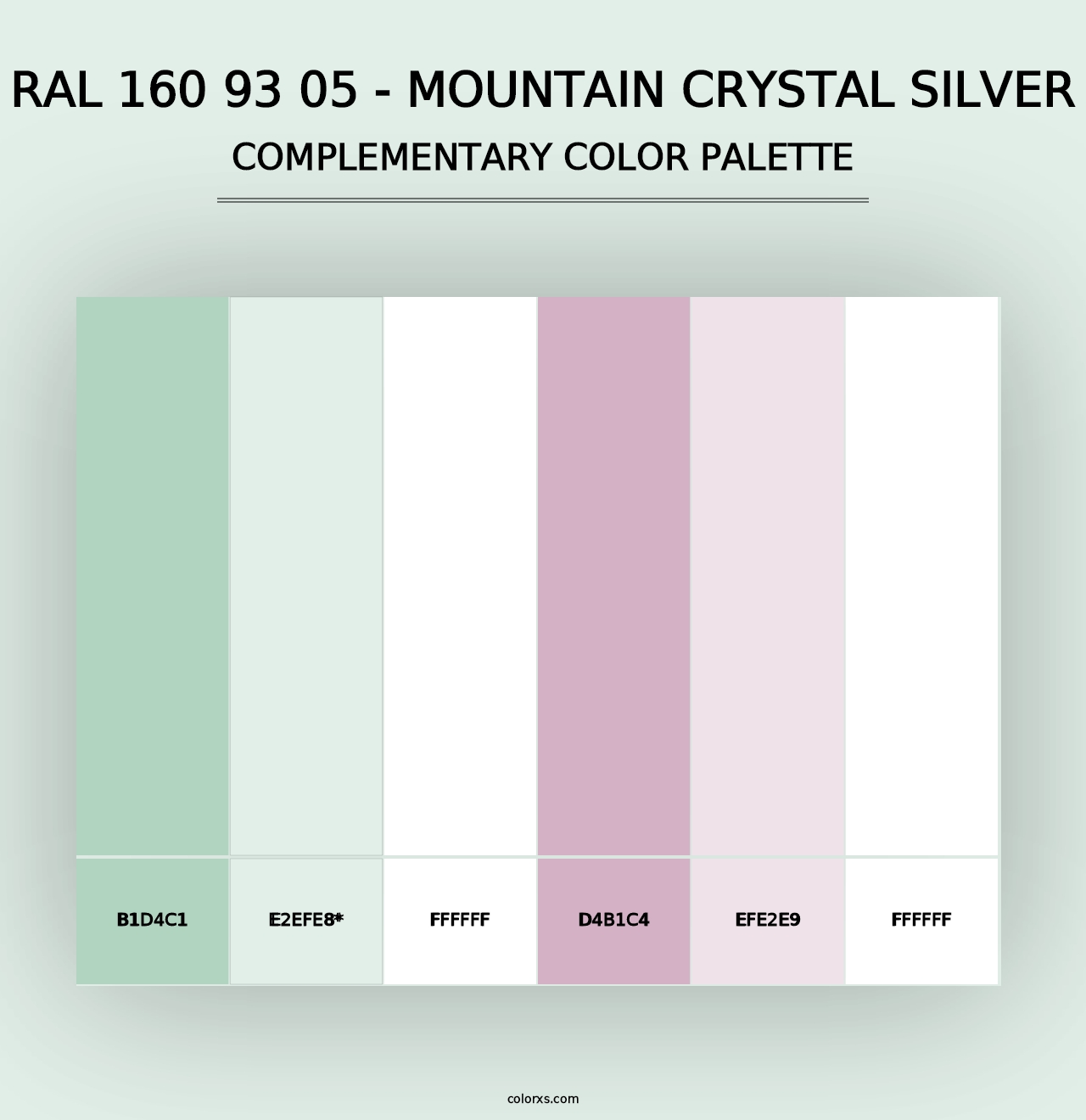 RAL 160 93 05 - Mountain Crystal Silver - Complementary Color Palette