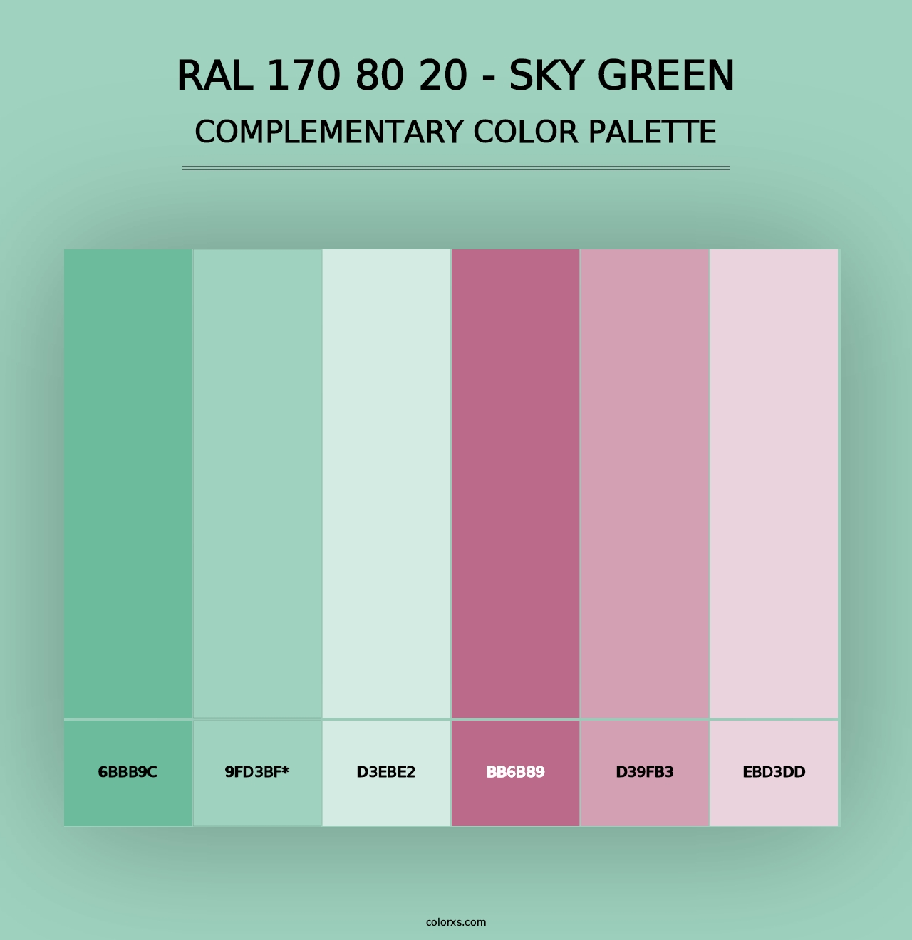 RAL 170 80 20 - Sky Green - Complementary Color Palette