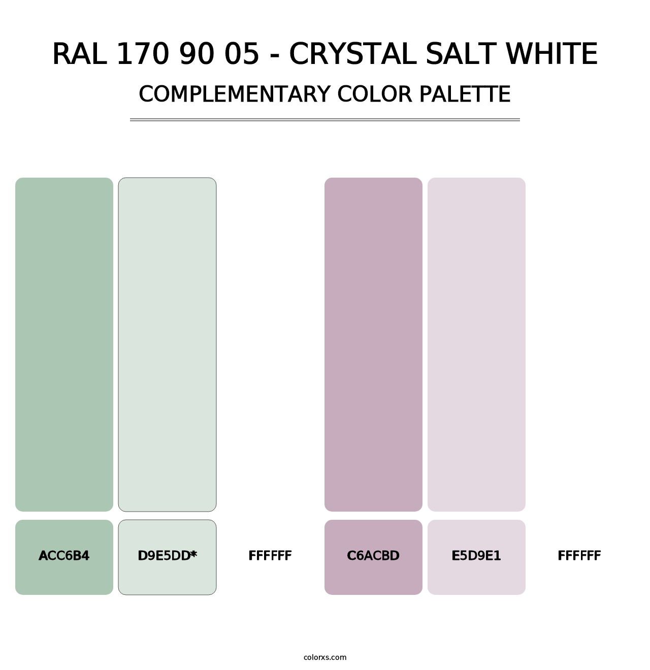 RAL 170 90 05 - Crystal Salt White - Complementary Color Palette