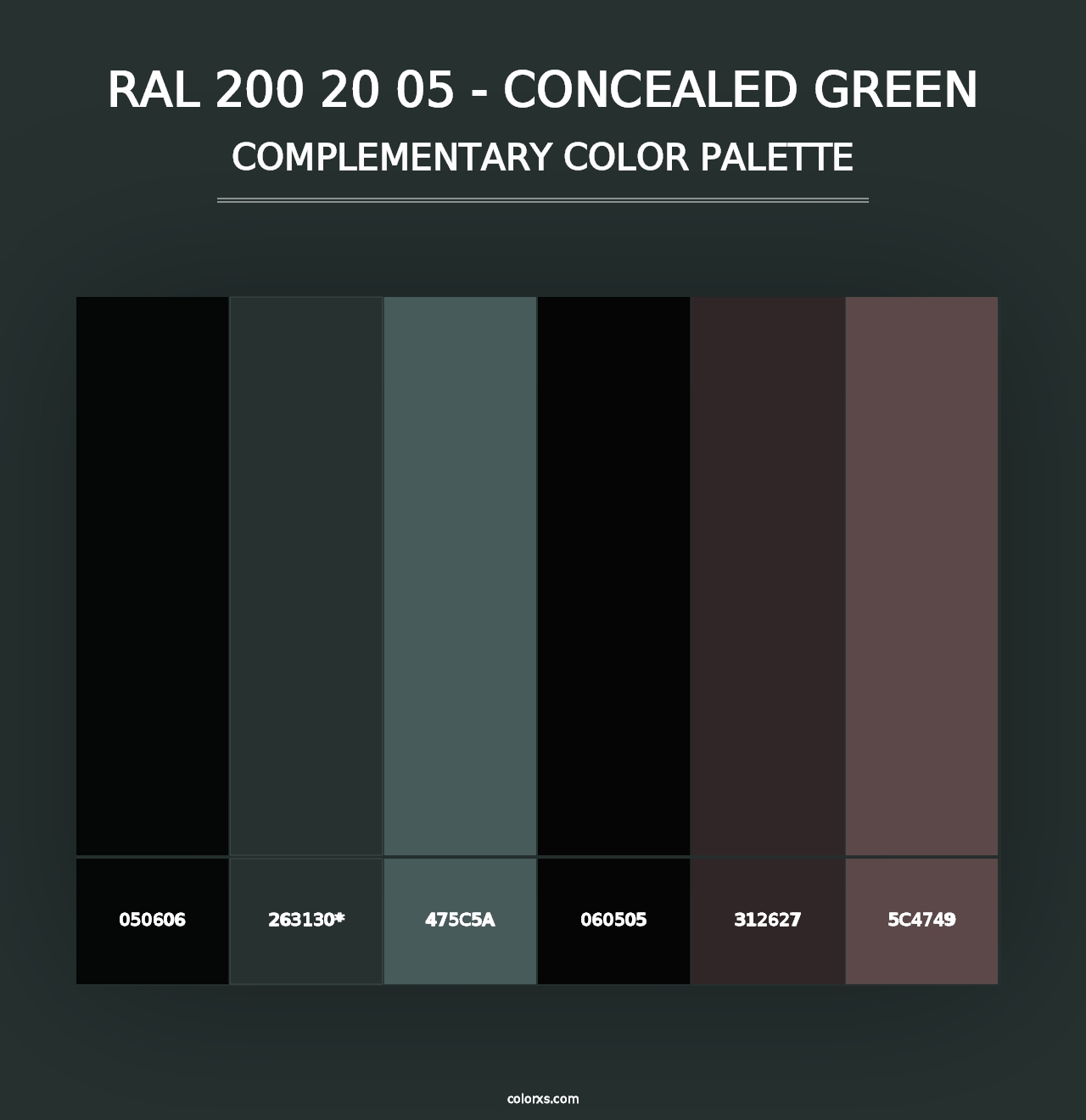 RAL 200 20 05 - Concealed Green - Complementary Color Palette