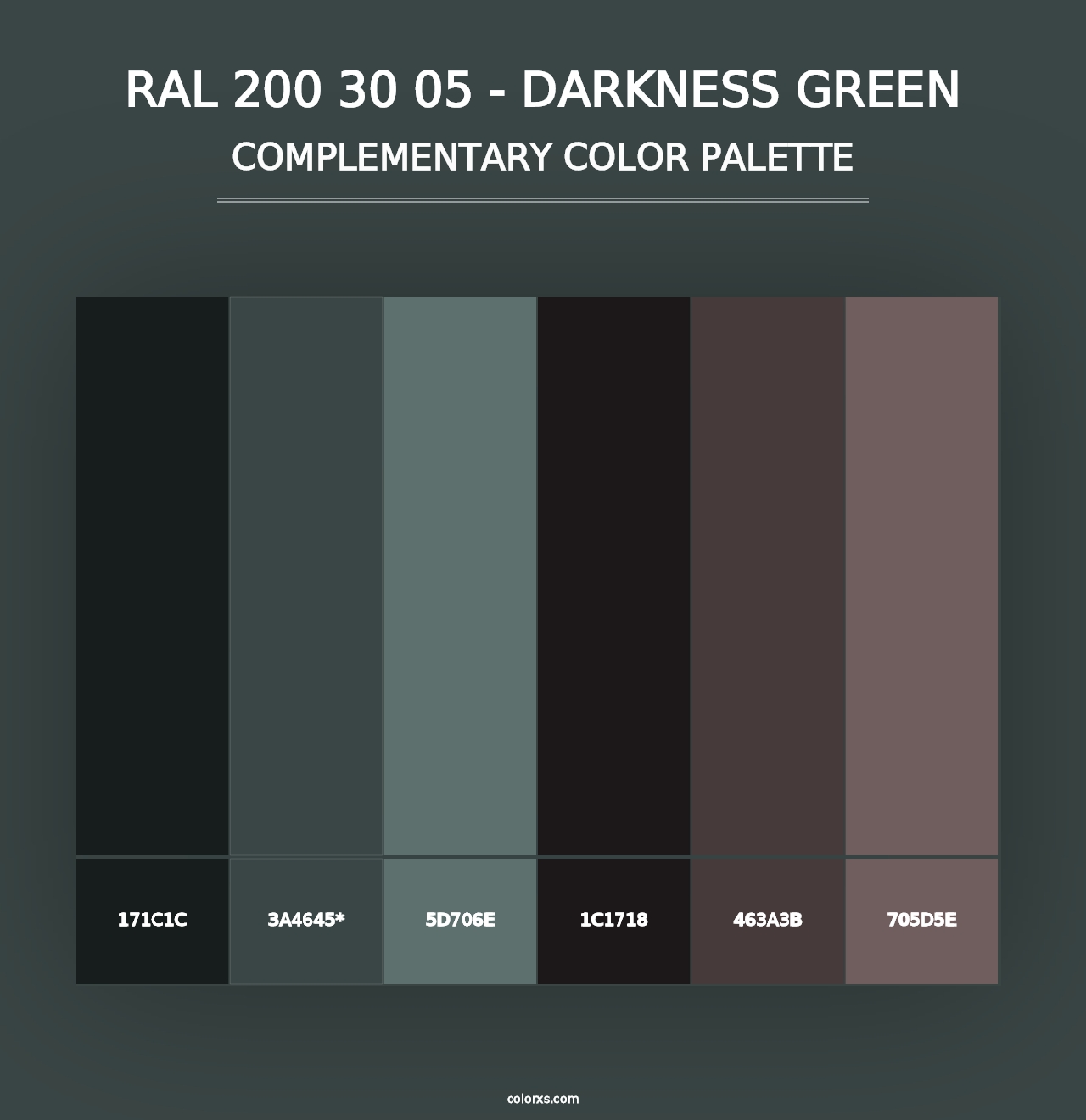 RAL 200 30 05 - Darkness Green - Complementary Color Palette