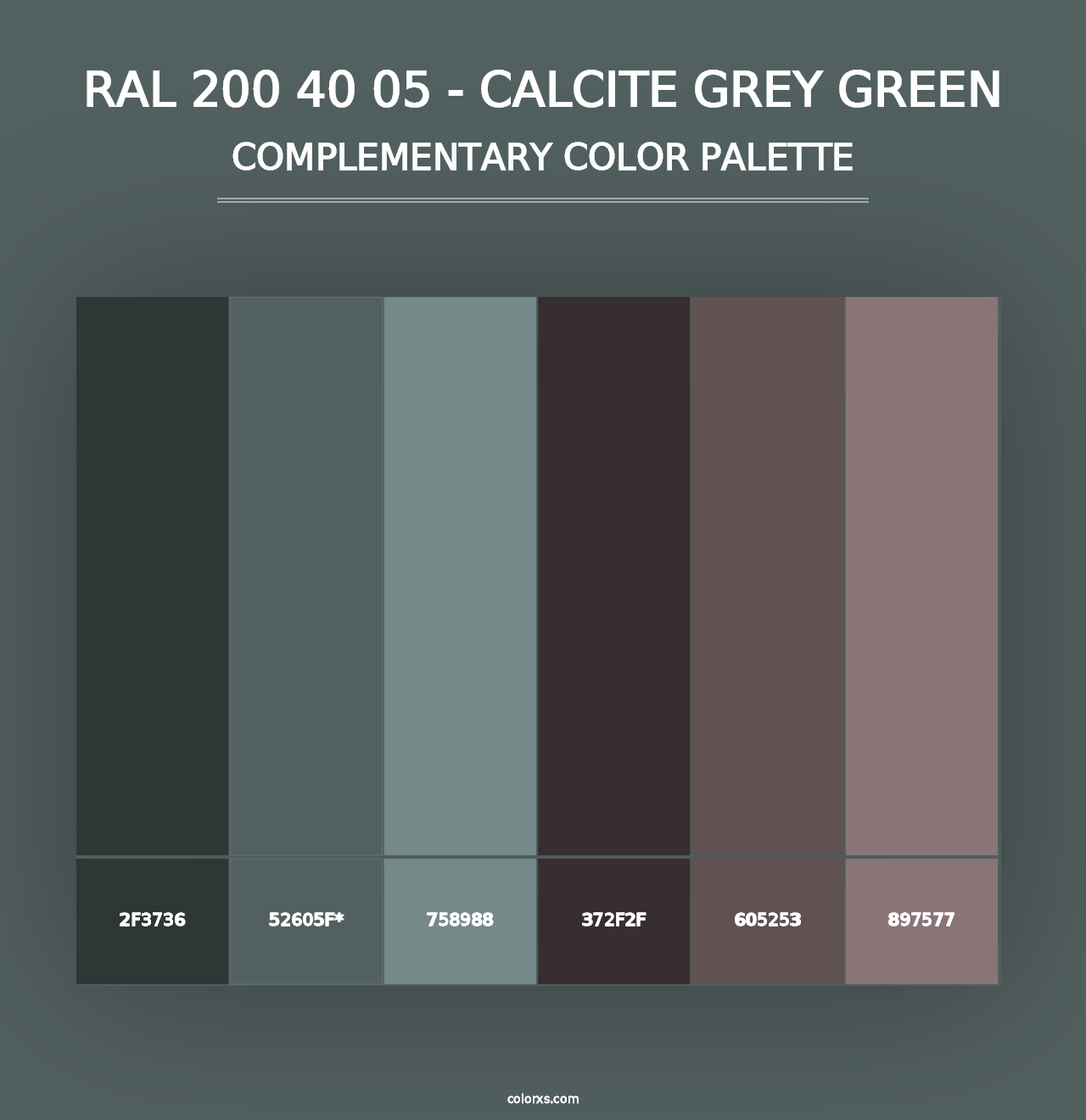 RAL 200 40 05 - Calcite Grey Green - Complementary Color Palette