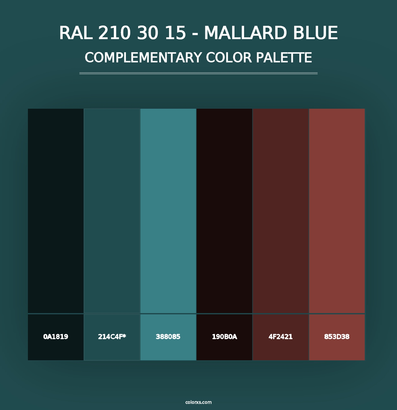 RAL 210 30 15 - Mallard Blue - Complementary Color Palette