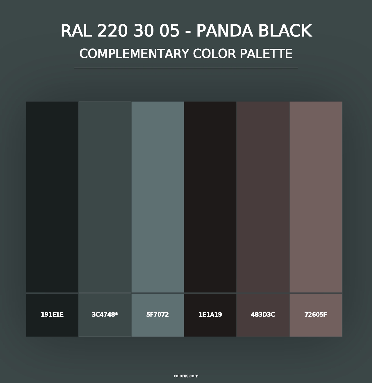 RAL 220 30 05 - Panda Black - Complementary Color Palette