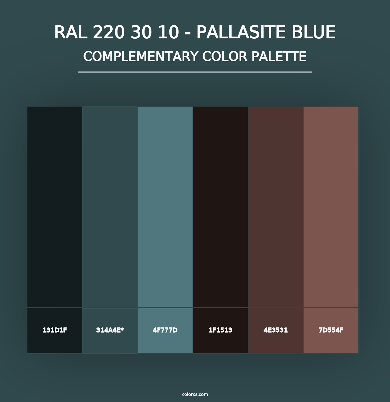 RAL 220 30 10 - Pallasite Blue - Complementary Color Palette