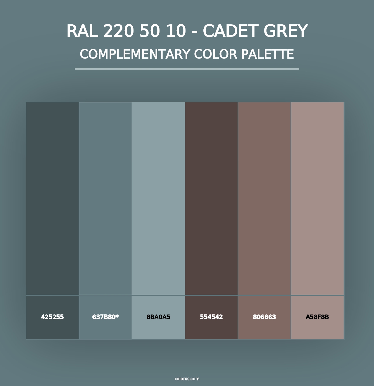 RAL 220 50 10 - Cadet Grey - Complementary Color Palette