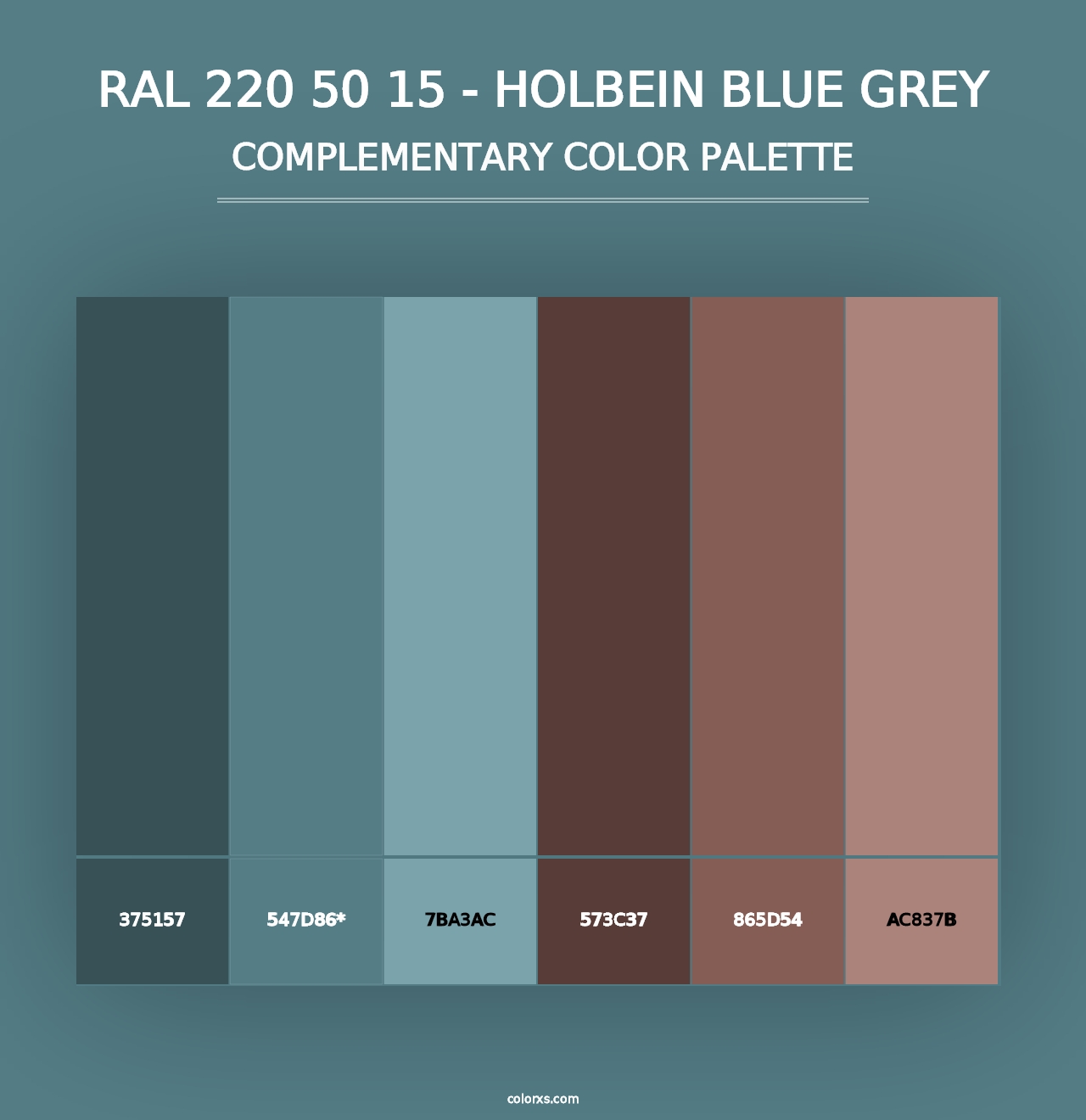 RAL 220 50 15 - Holbein Blue Grey - Complementary Color Palette