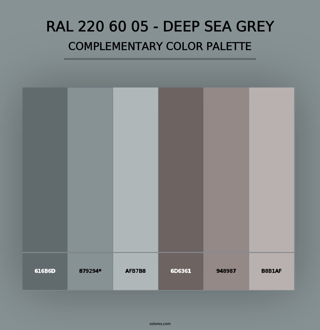 RAL 220 60 05 - Deep Sea Grey - Complementary Color Palette