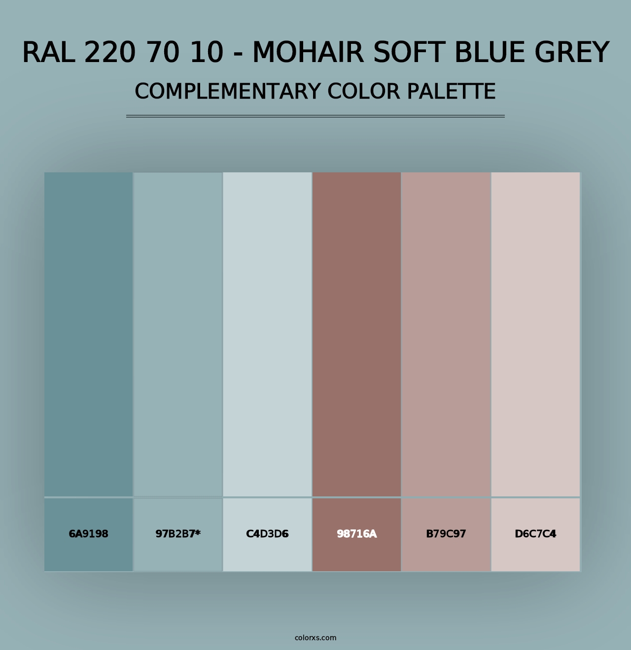 RAL 220 70 10 - Mohair Soft Blue Grey - Complementary Color Palette