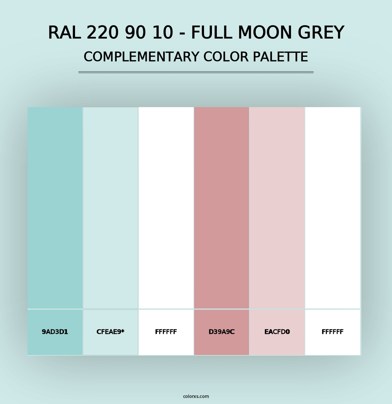 RAL 220 90 10 - Full Moon Grey - Complementary Color Palette