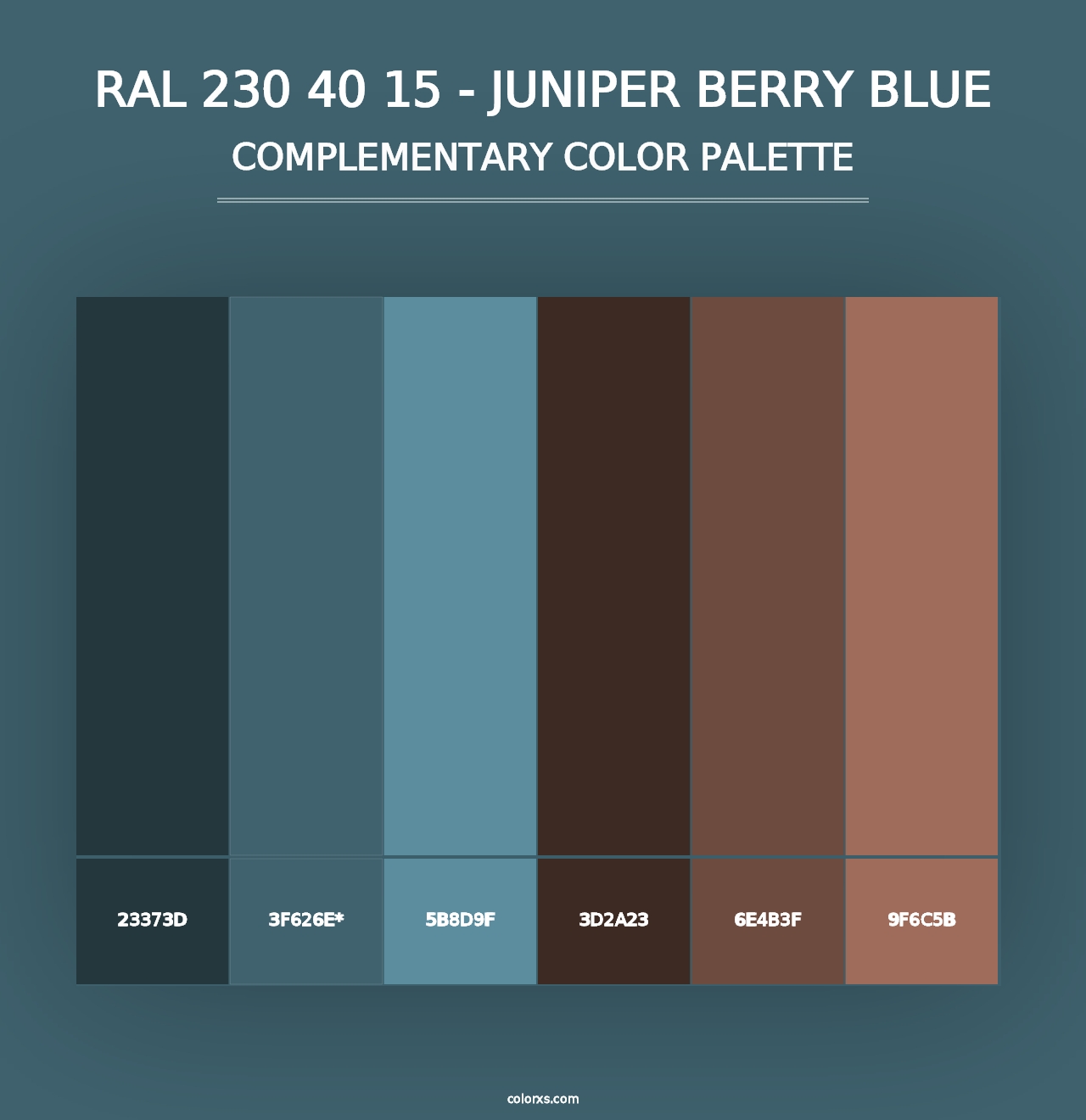 RAL 230 40 15 - Juniper Berry Blue - Complementary Color Palette