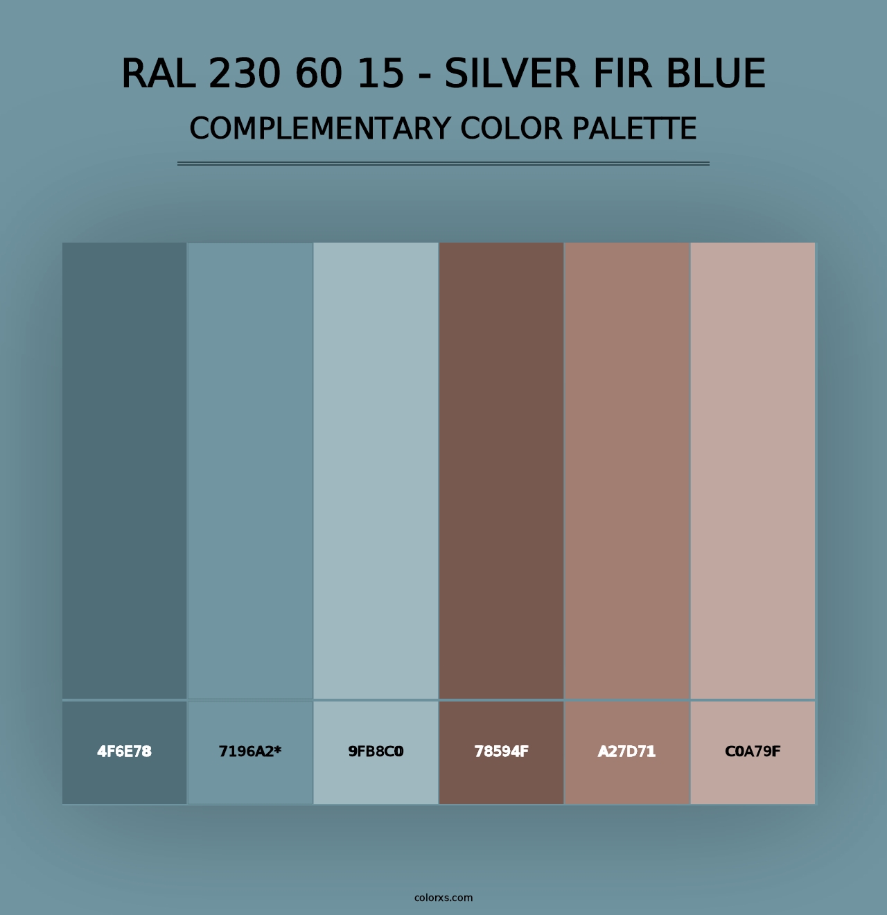 RAL 230 60 15 - Silver Fir Blue - Complementary Color Palette