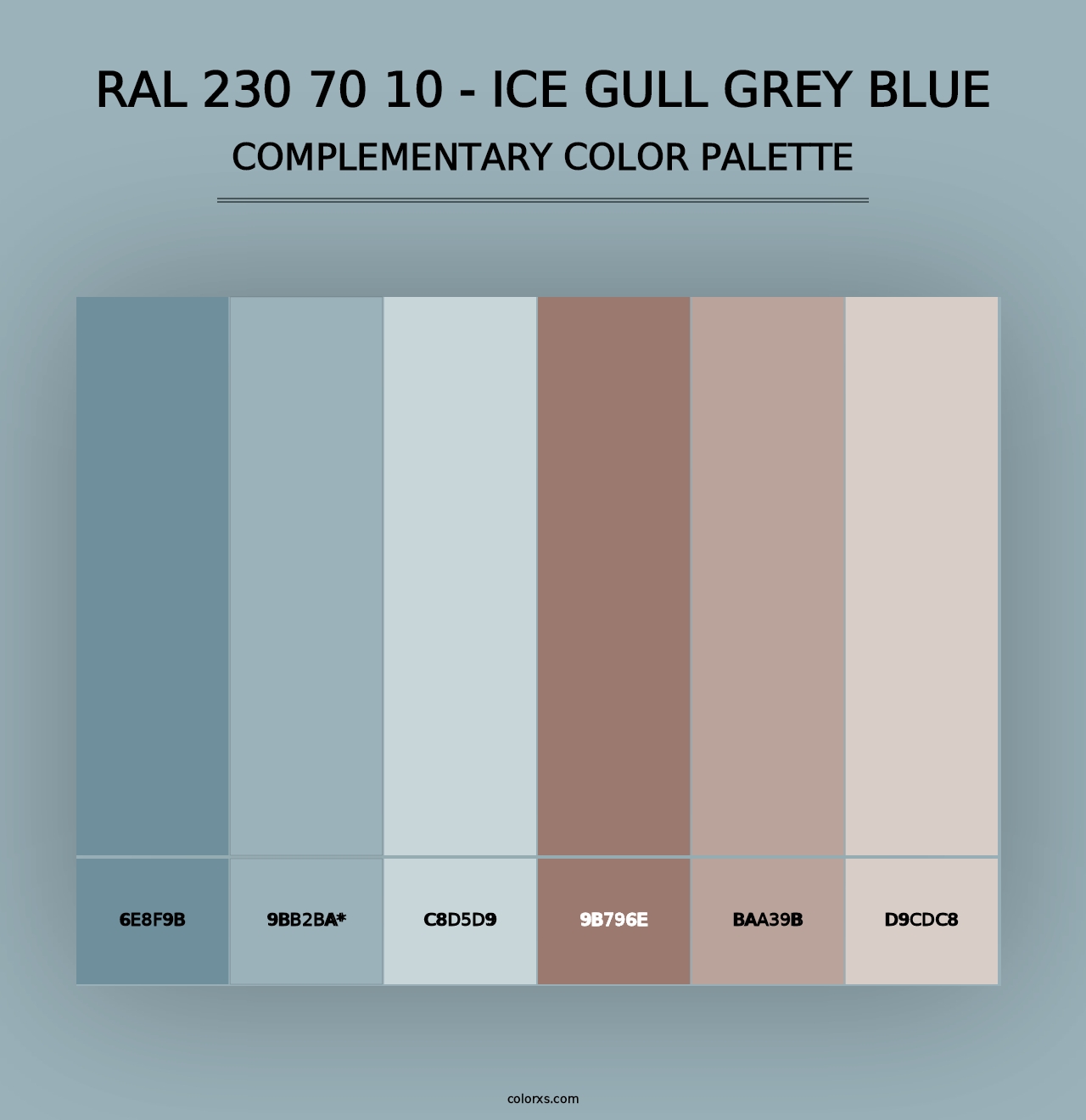 RAL 230 70 10 - Ice Gull Grey Blue - Complementary Color Palette