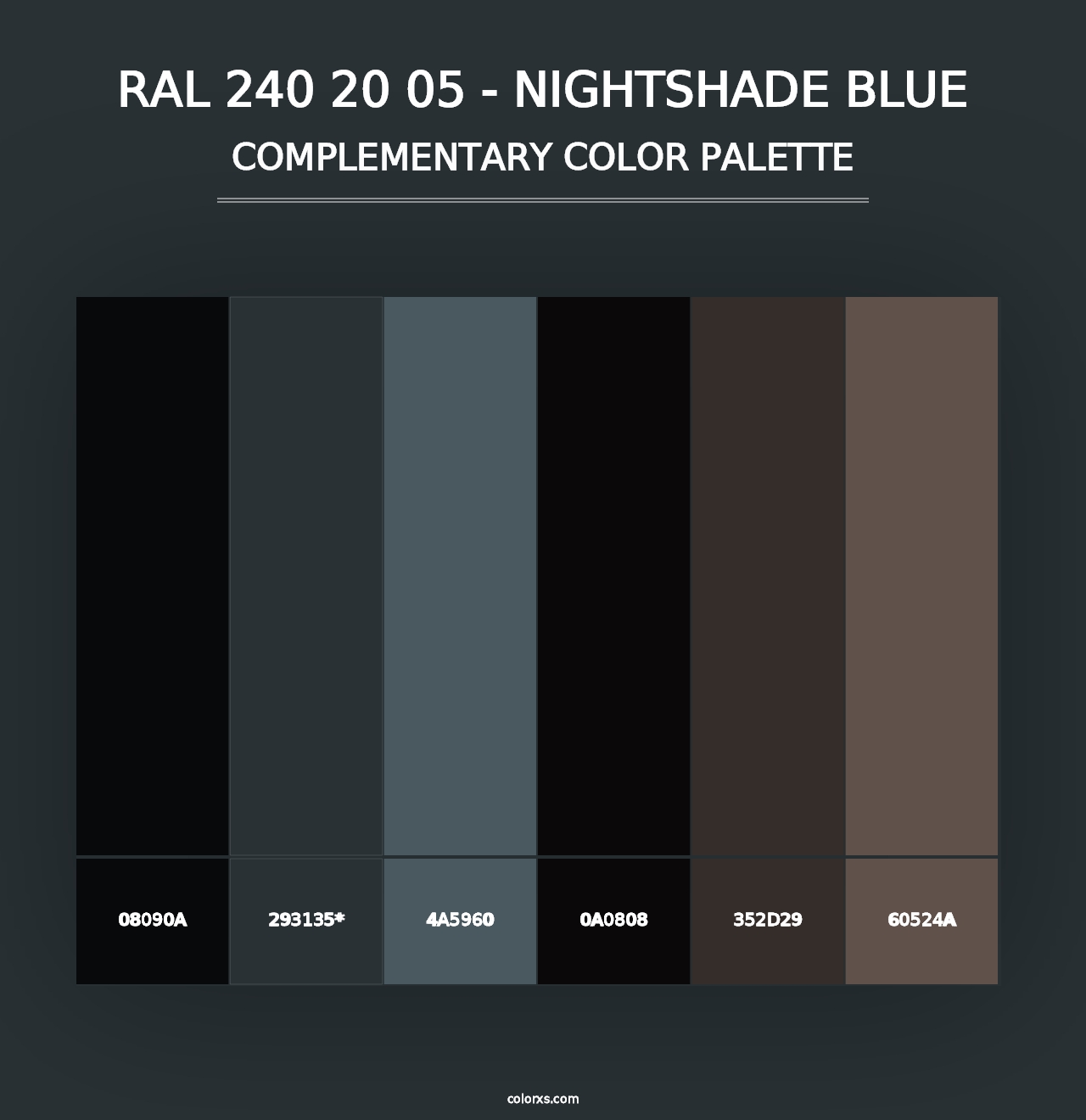 RAL 240 20 05 - Nightshade Blue - Complementary Color Palette