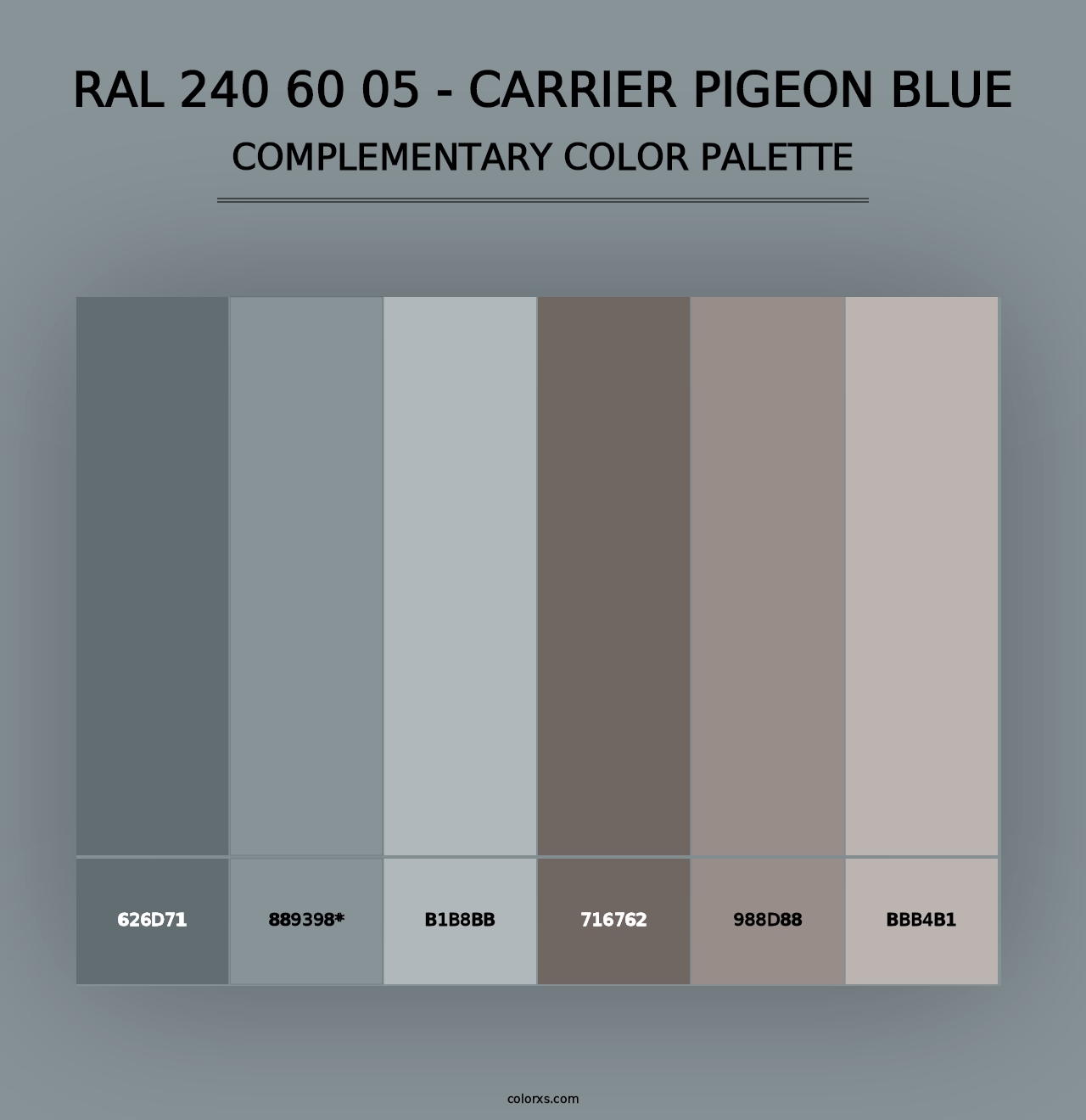 RAL 240 60 05 - Carrier Pigeon Blue - Complementary Color Palette