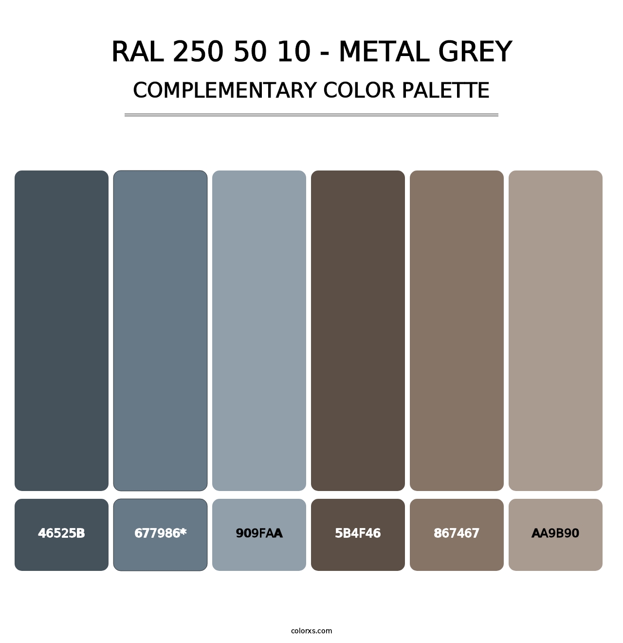 RAL 250 50 10 - Metal Grey - Complementary Color Palette