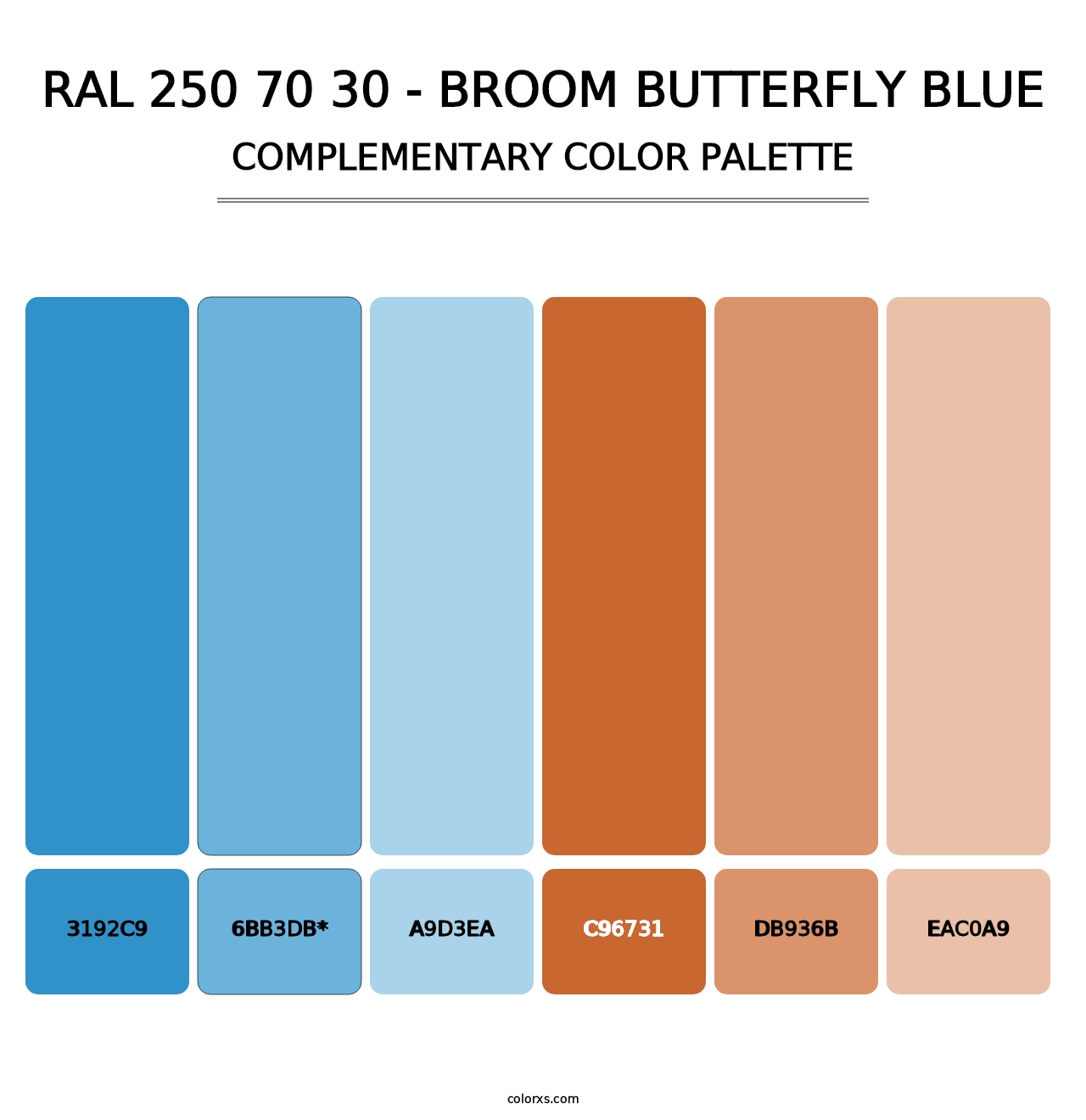 RAL 250 70 30 - Broom Butterfly Blue - Complementary Color Palette