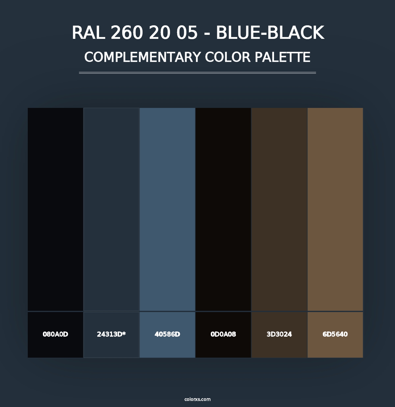 RAL 260 20 05 - Blue-Black - Complementary Color Palette