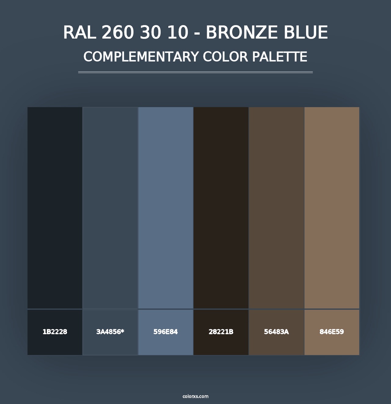 RAL 260 30 10 - Bronze Blue - Complementary Color Palette