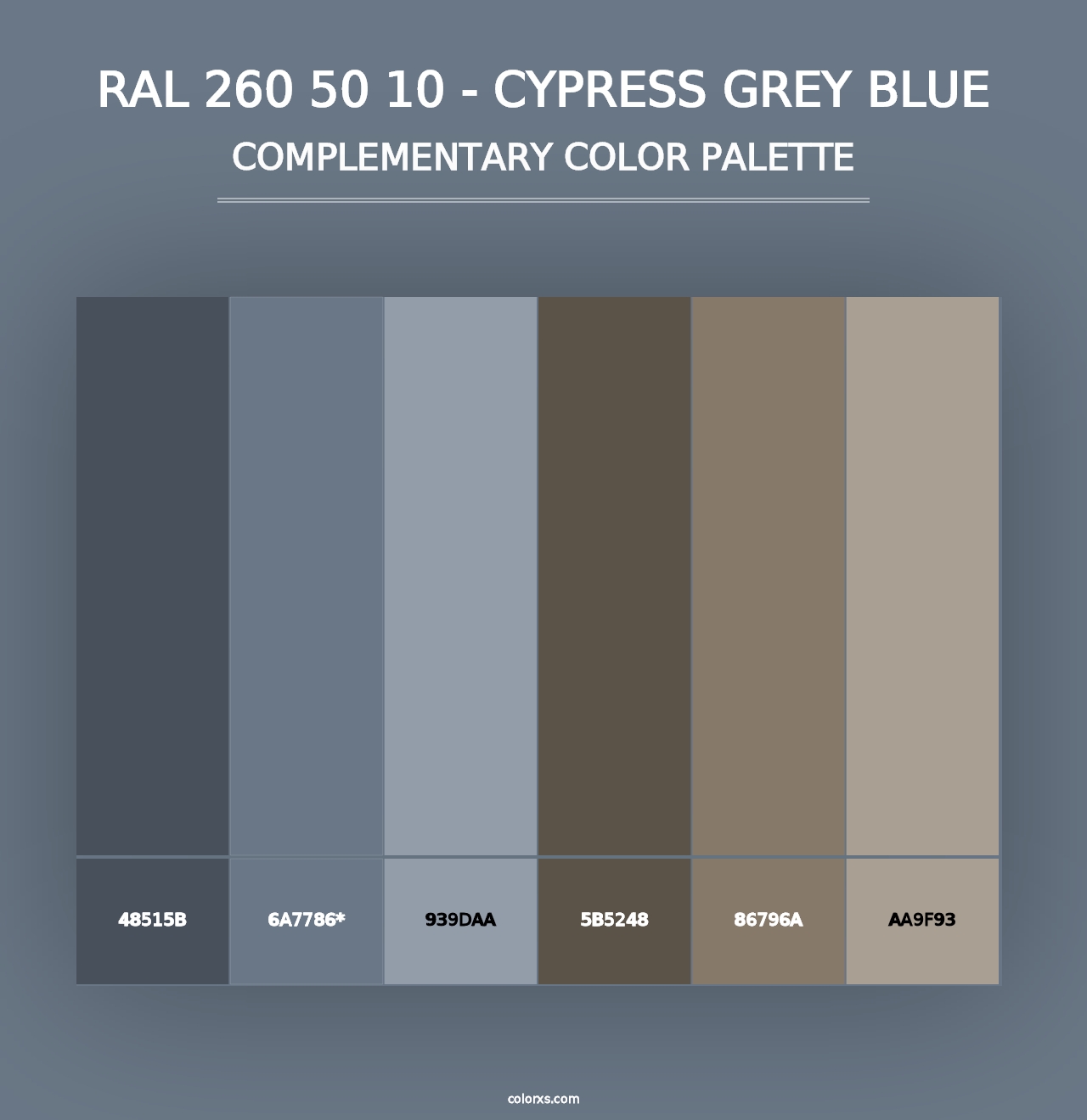 RAL 260 50 10 - Cypress Grey Blue - Complementary Color Palette