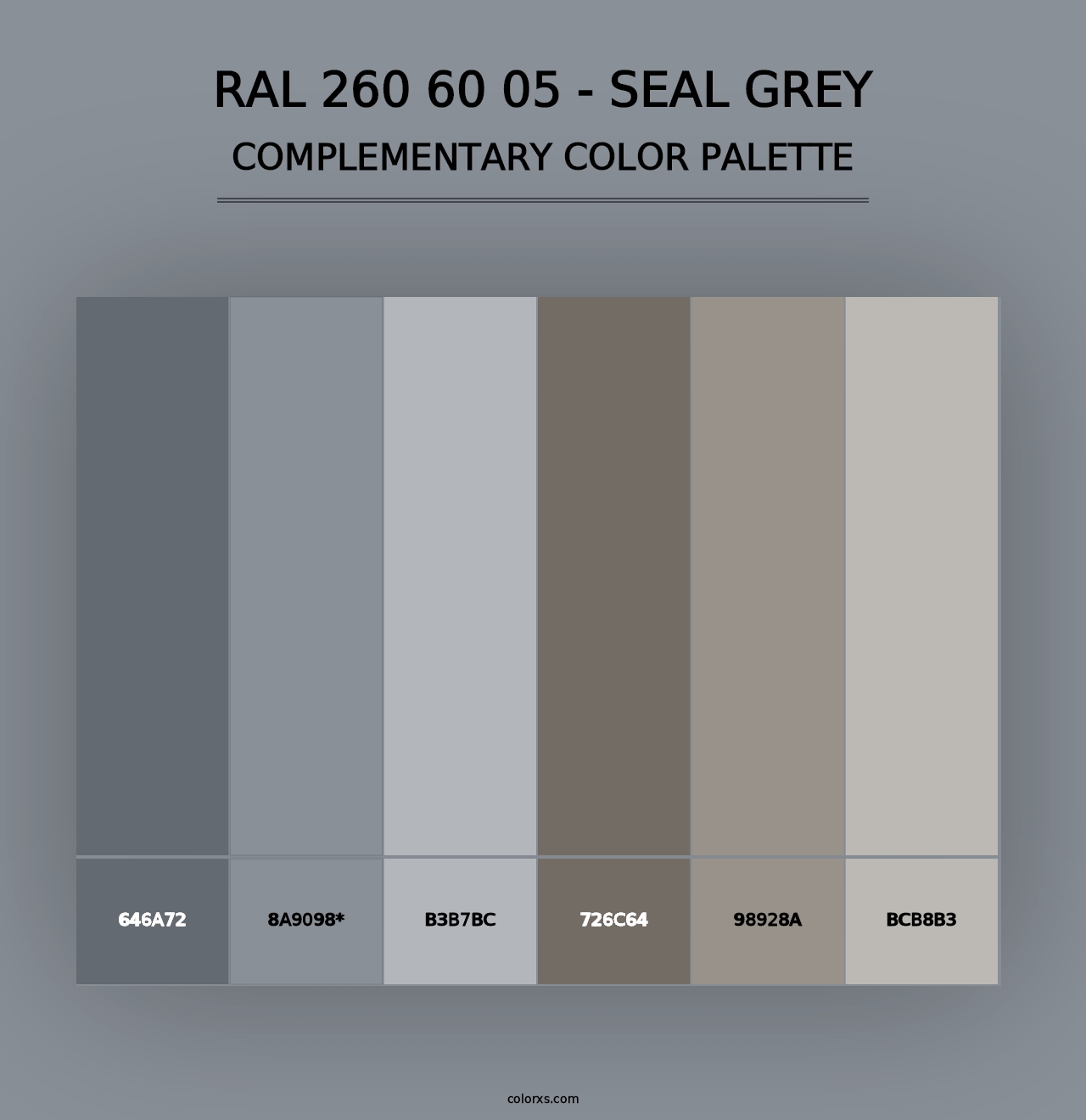 RAL 260 60 05 - Seal Grey - Complementary Color Palette