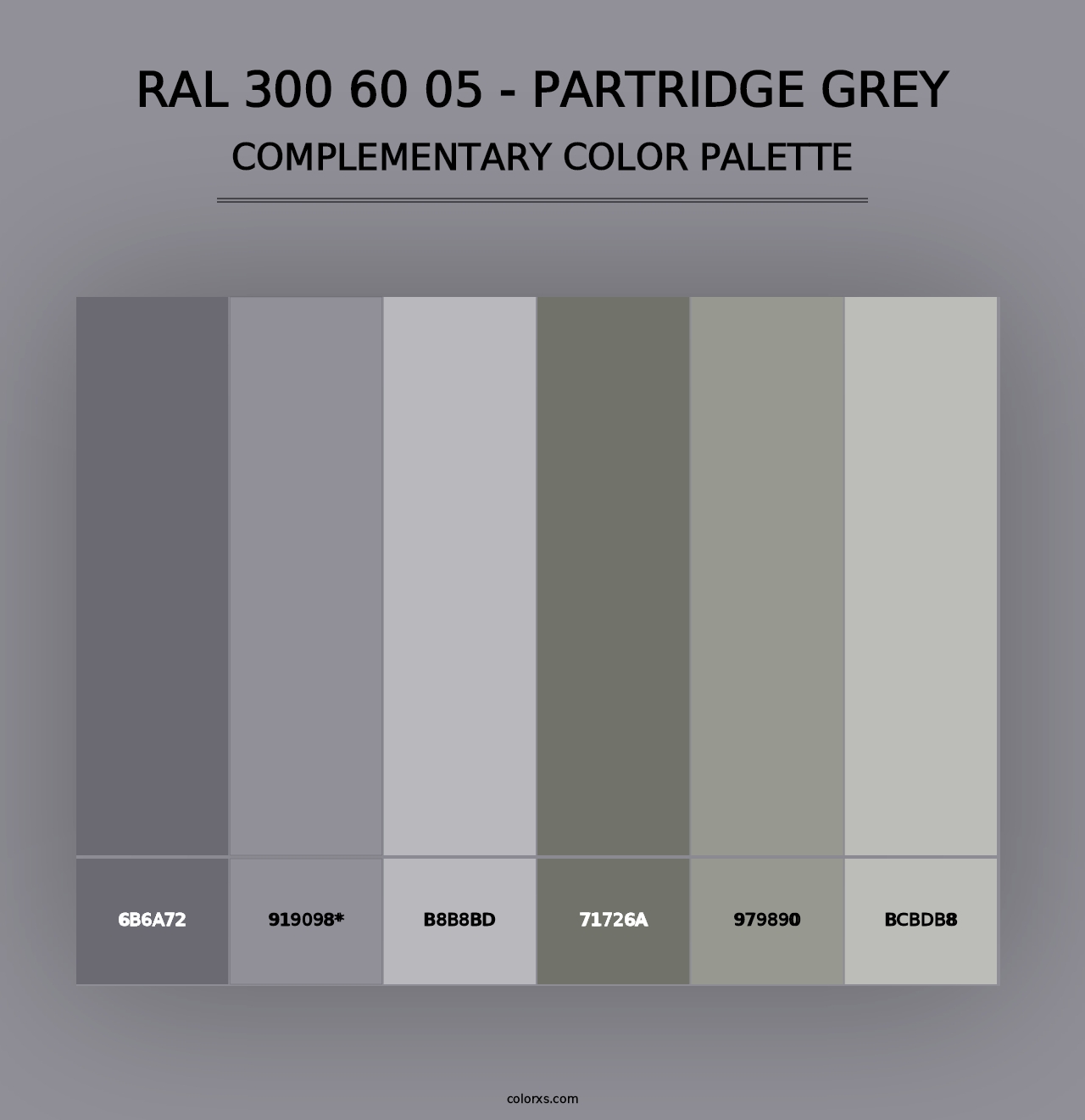 RAL 300 60 05 - Partridge Grey - Complementary Color Palette