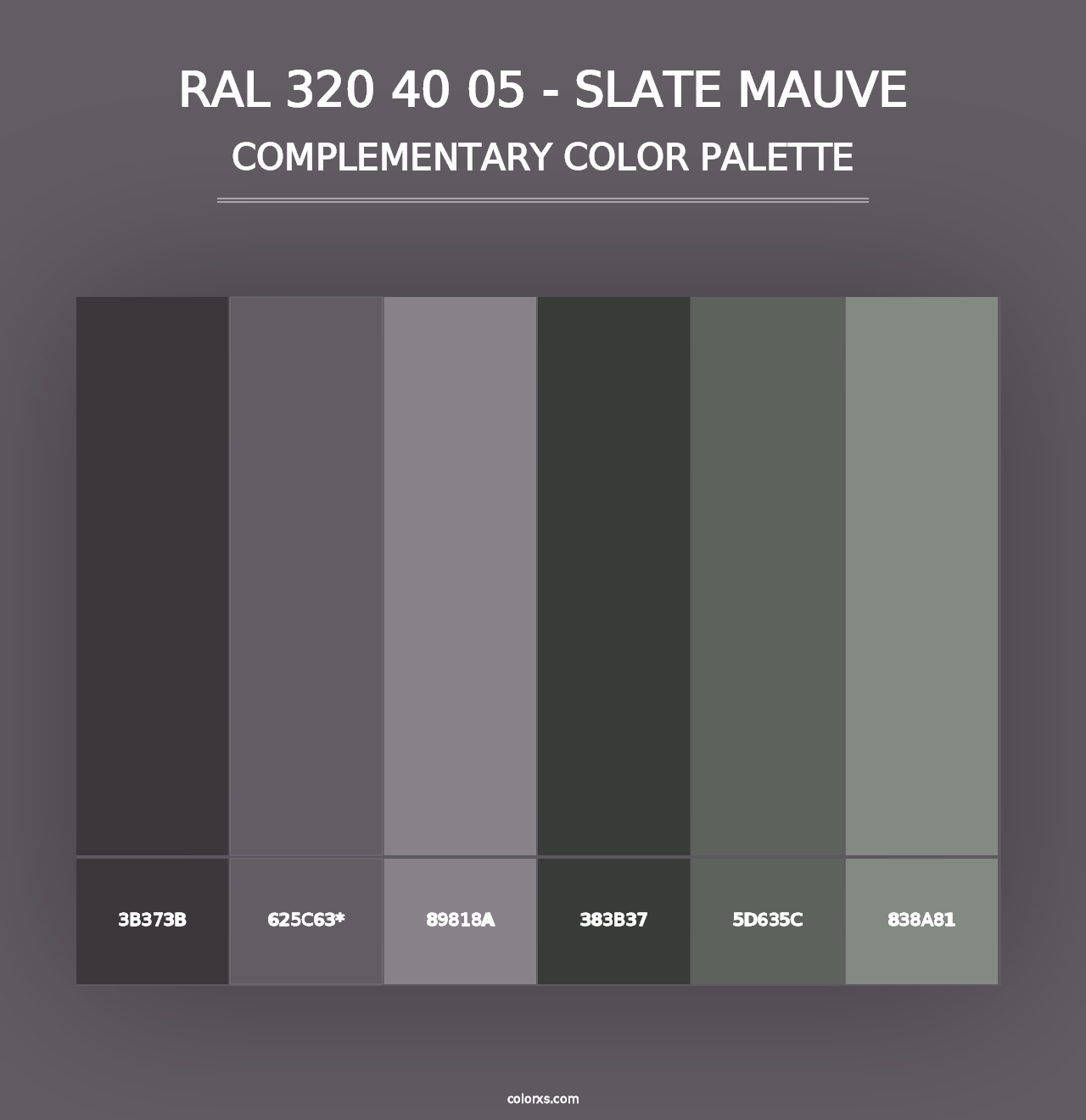 RAL 320 40 05 - Slate Mauve - Complementary Color Palette