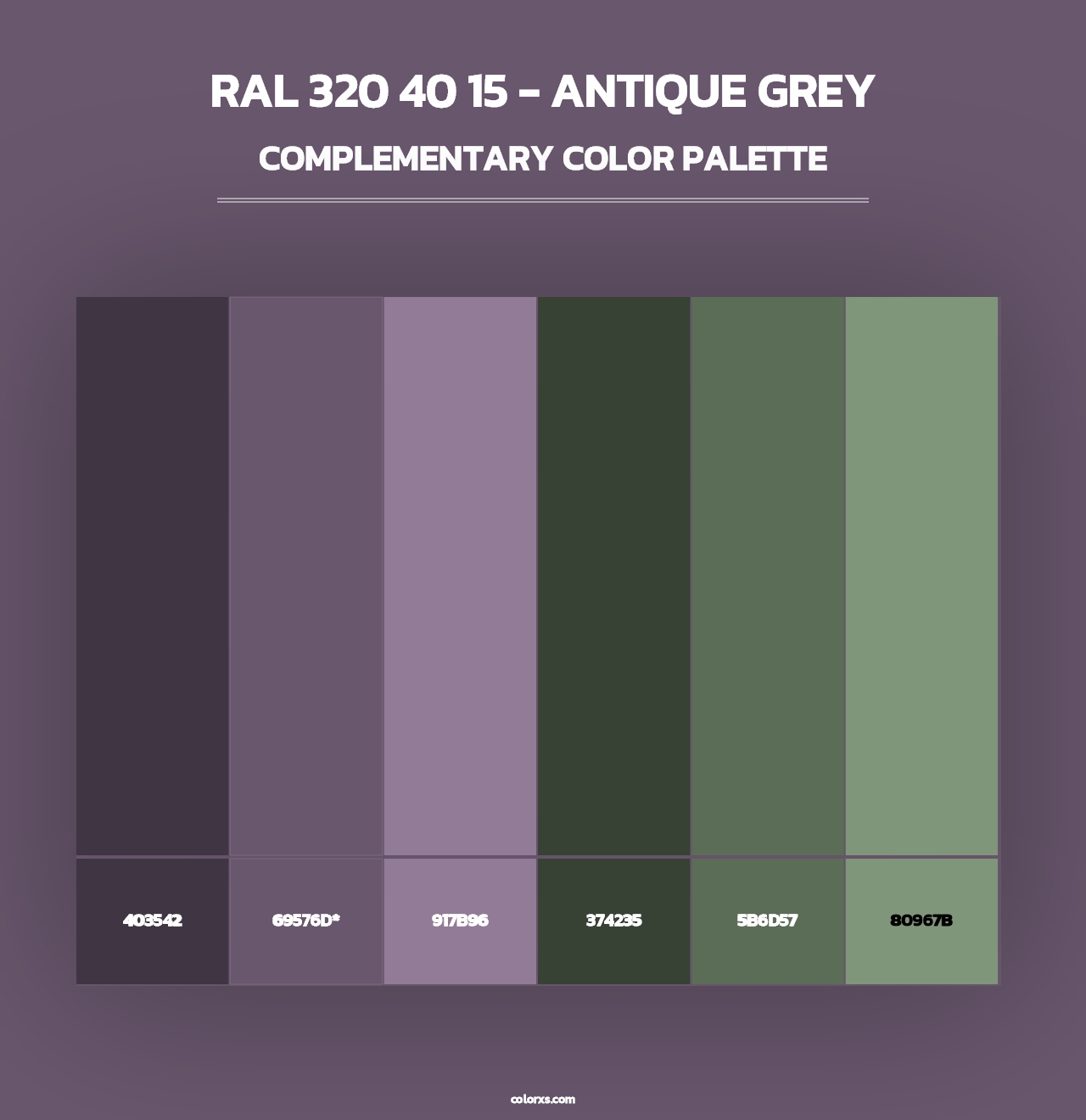 RAL 320 40 15 - Antique Grey - Complementary Color Palette