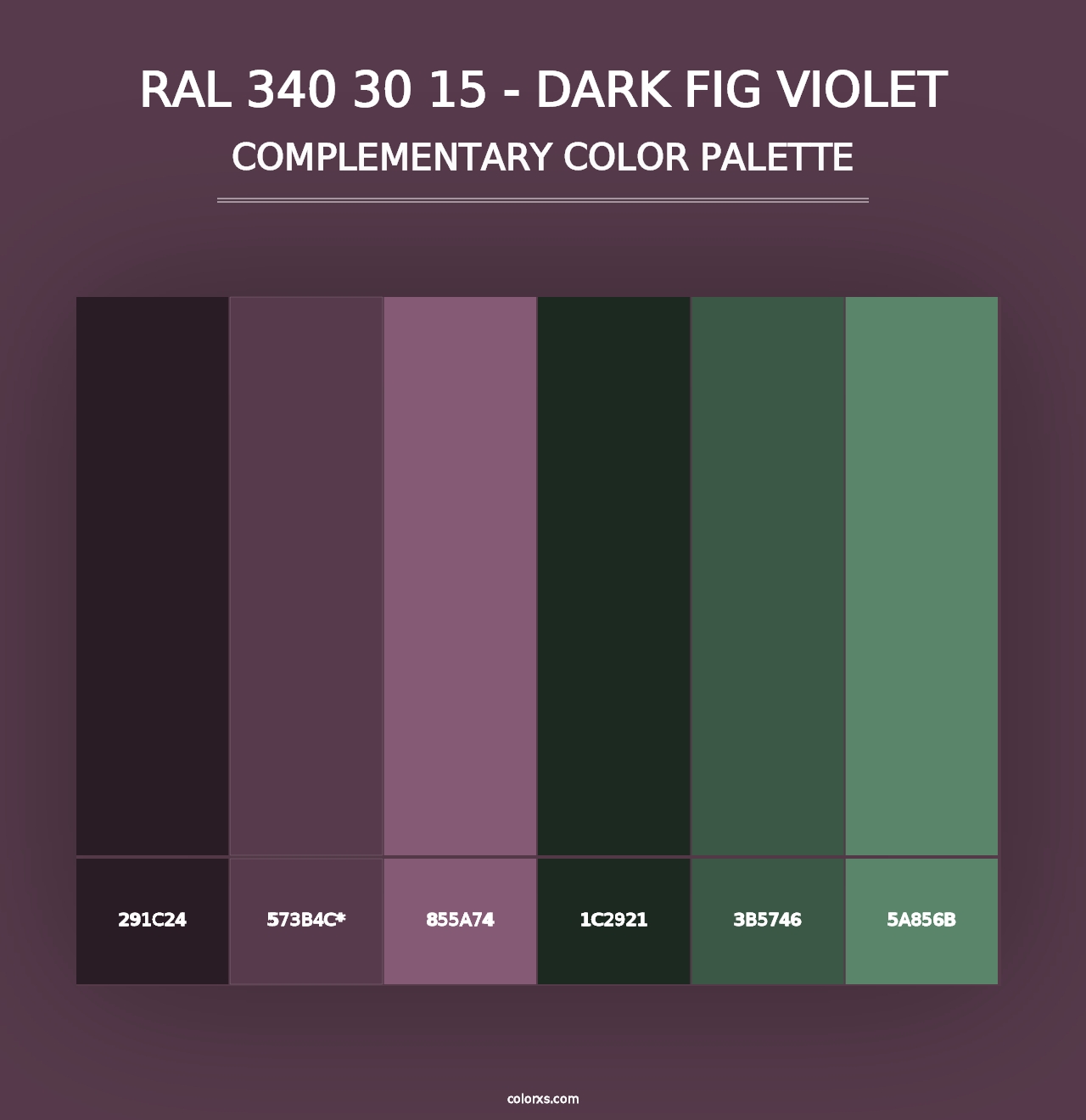 RAL 340 30 15 - Dark Fig Violet - Complementary Color Palette