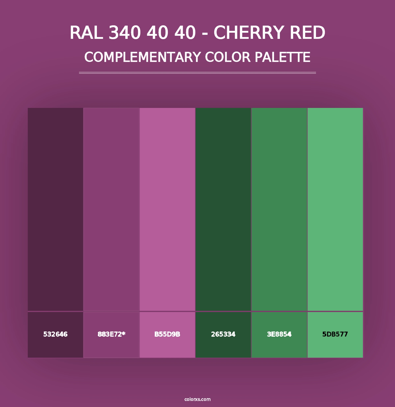 RAL 340 40 40 - Cherry Red - Complementary Color Palette