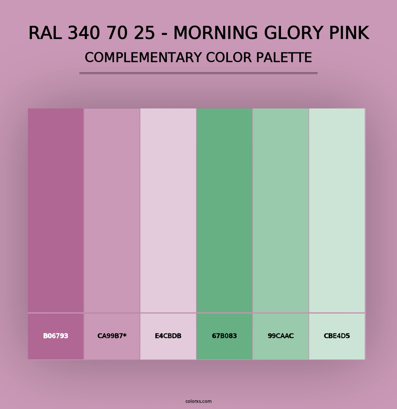 RAL 340 70 25 - Morning Glory Pink - Complementary Color Palette