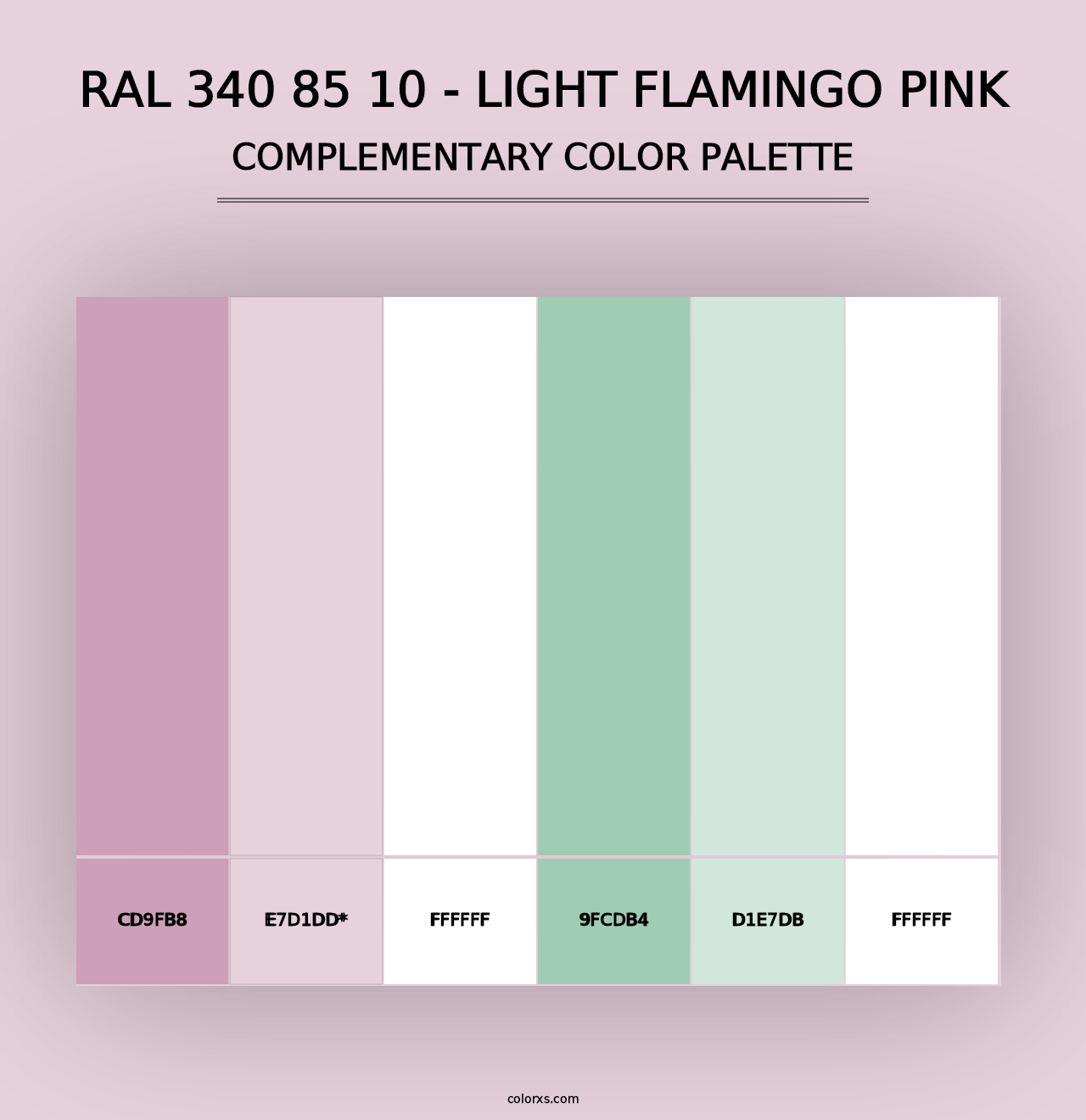 RAL 340 85 10 - Light Flamingo Pink - Complementary Color Palette