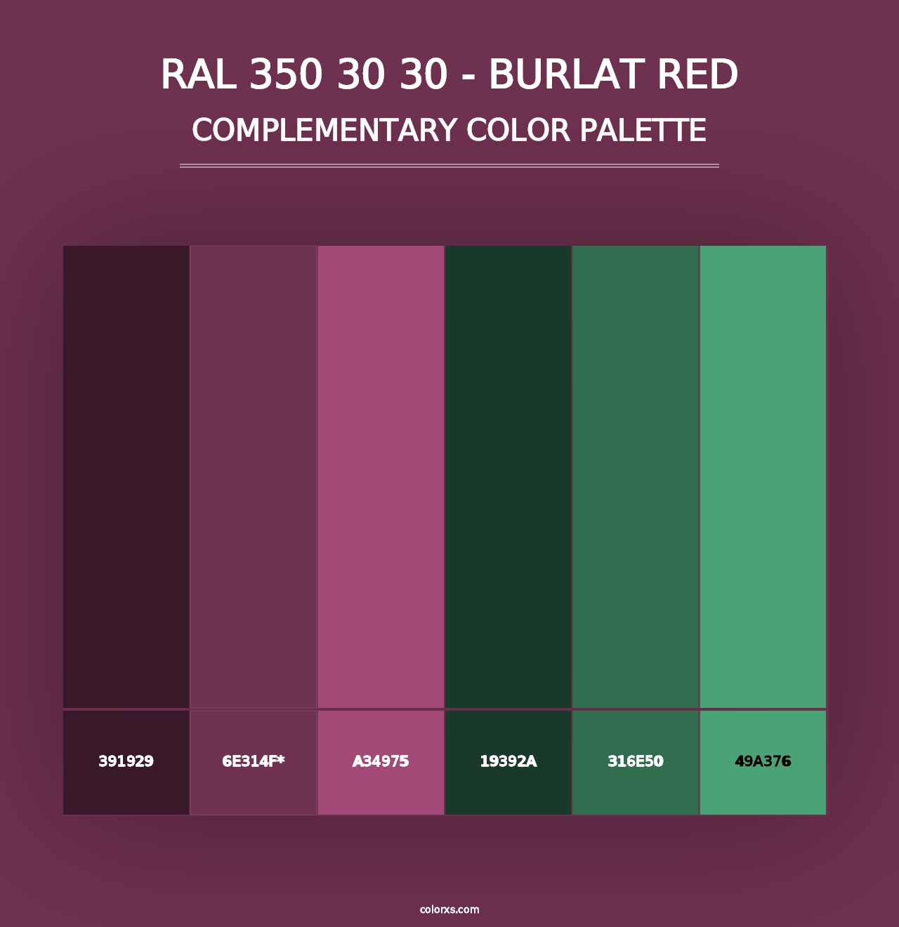 RAL 350 30 30 - Burlat Red - Complementary Color Palette