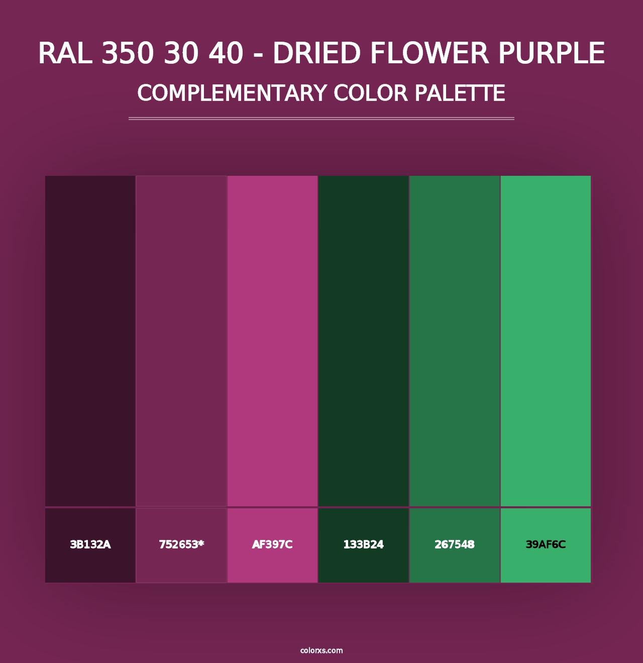 RAL 350 30 40 - Dried Flower Purple - Complementary Color Palette