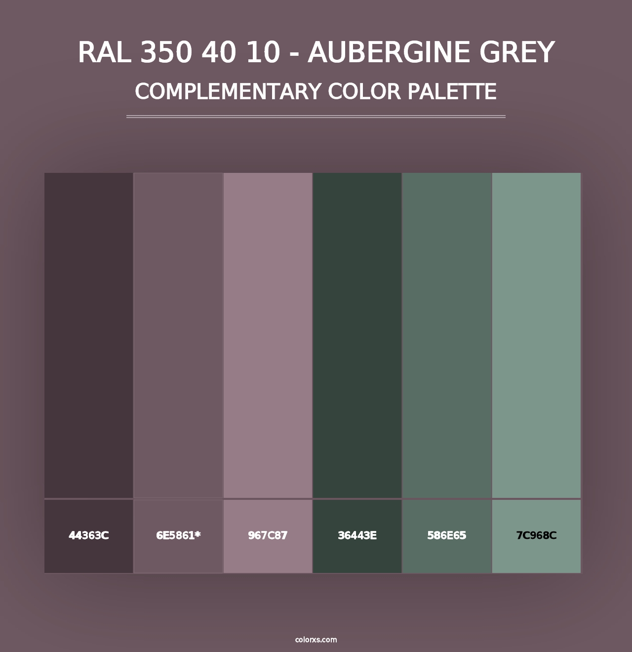 RAL 350 40 10 - Aubergine Grey - Complementary Color Palette