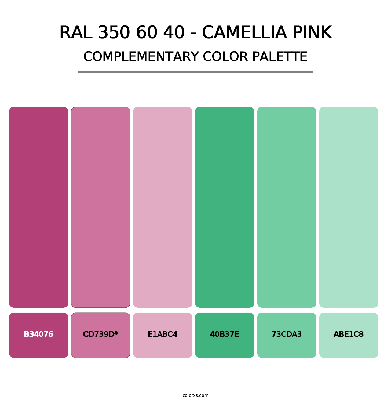 RAL 350 60 40 - Camellia Pink - Complementary Color Palette