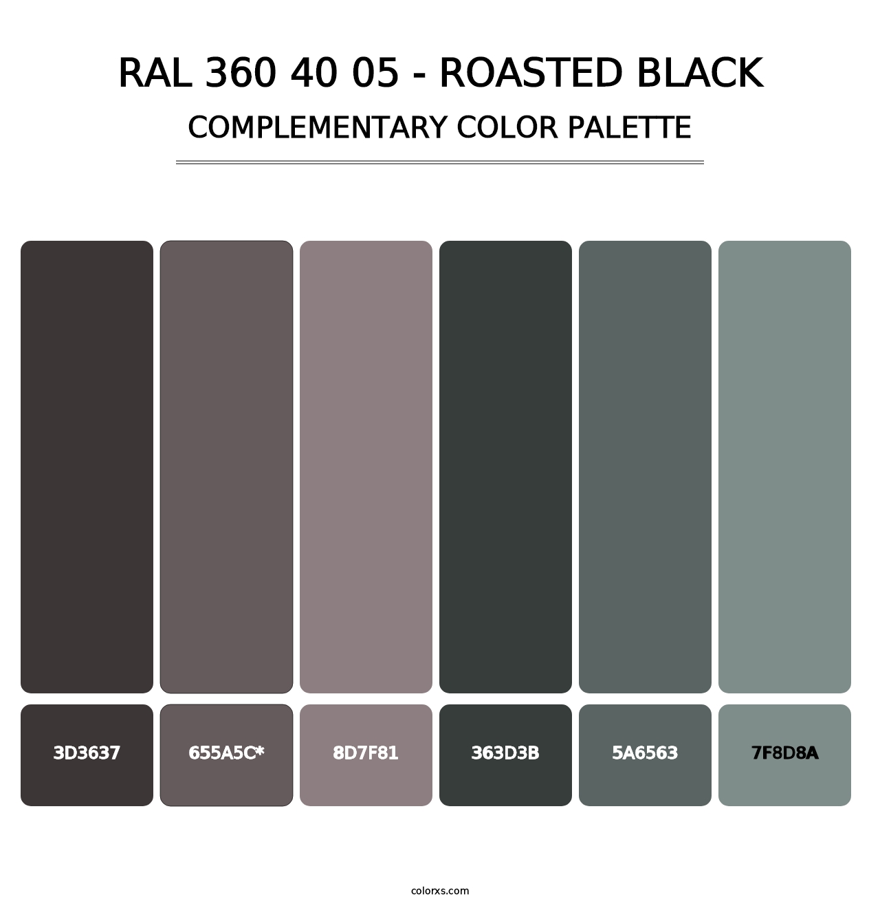 RAL 360 40 05 - Roasted Black - Complementary Color Palette