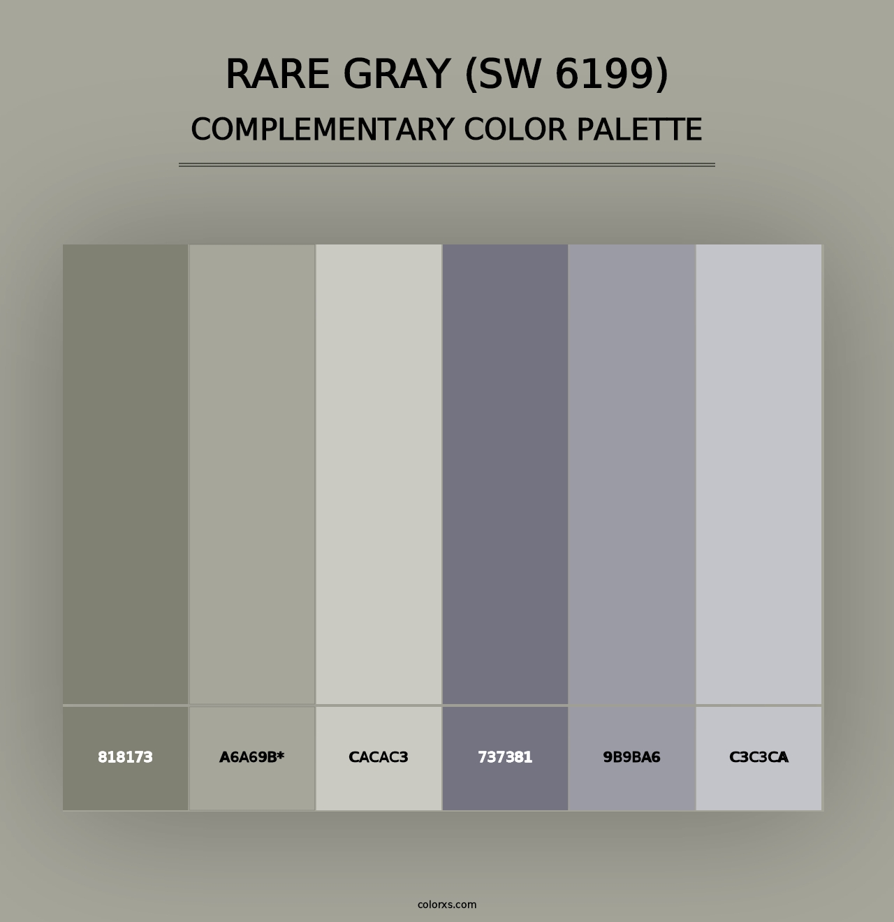 Rare Gray (SW 6199) - Complementary Color Palette