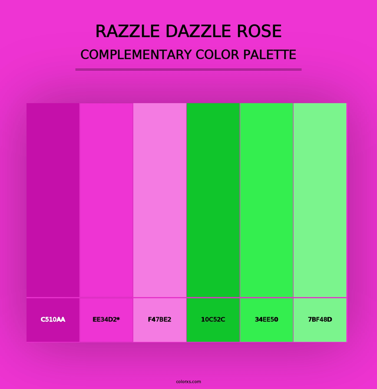 Razzle Dazzle Rose - Complementary Color Palette