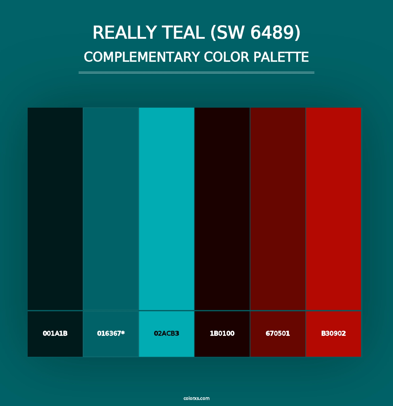 Really Teal (SW 6489) - Complementary Color Palette