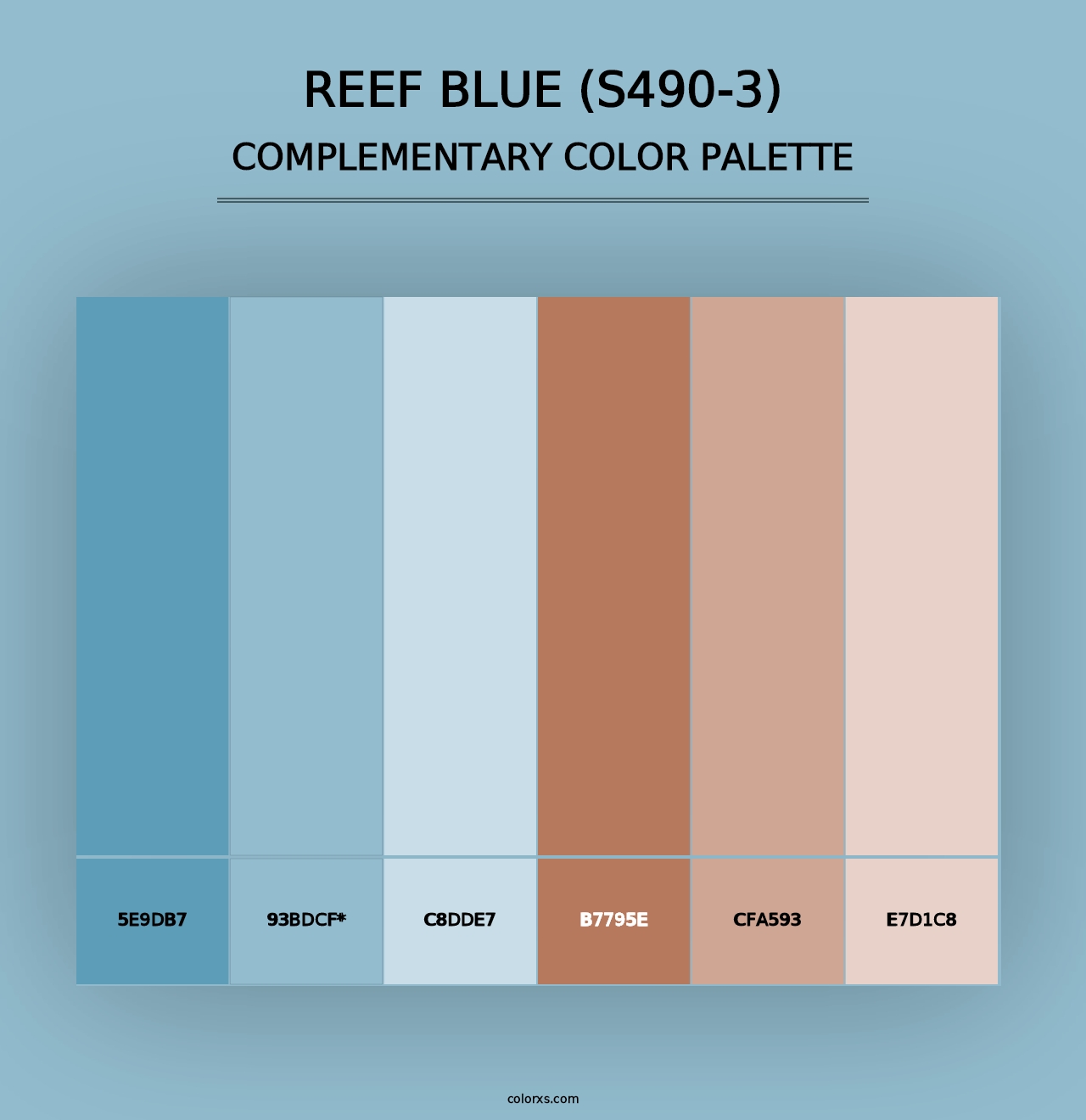 Reef Blue (S490-3) - Complementary Color Palette